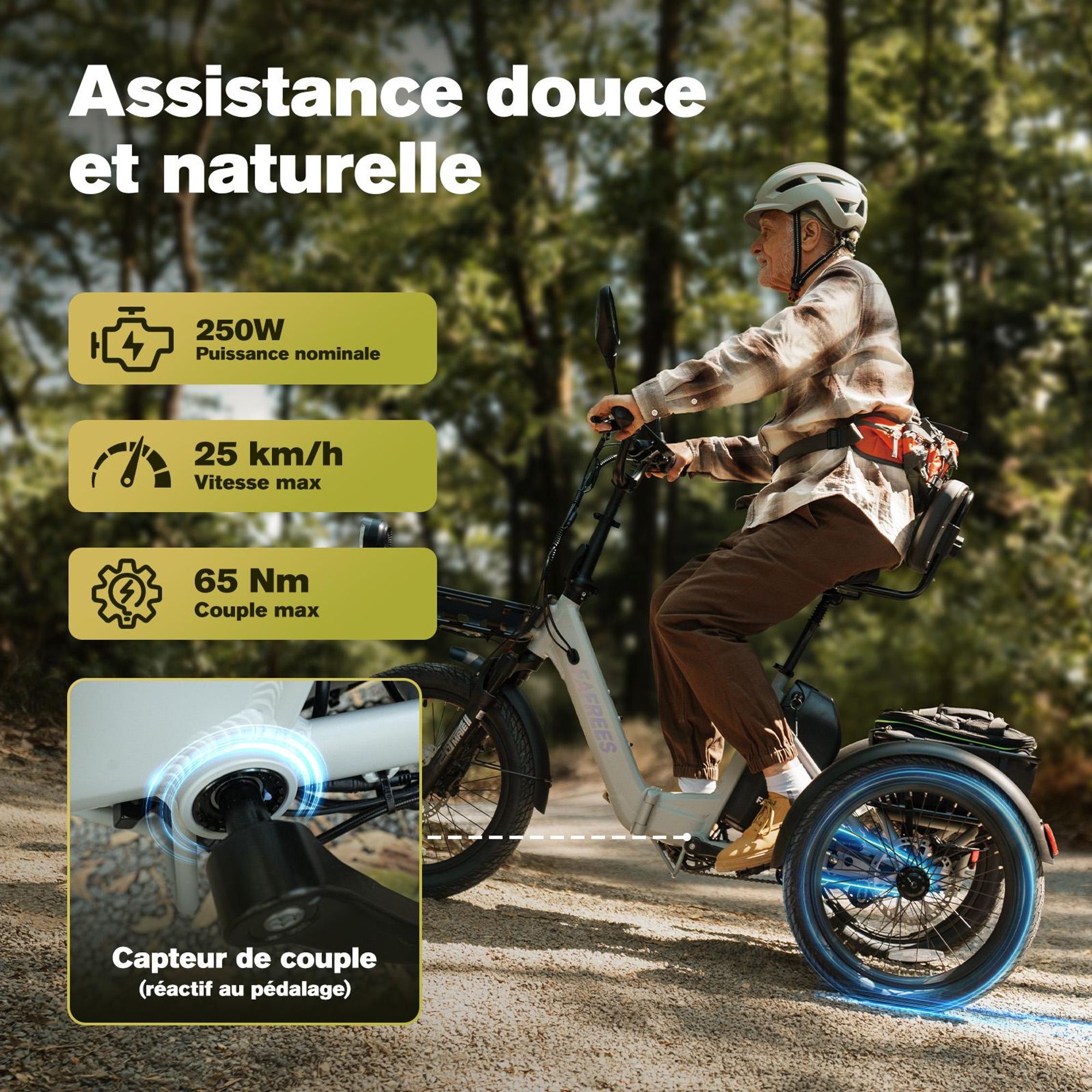 Vélo électrique FAFREES F20 Mate II - Moteur 250W batterie 48V21Ah pneus 20 pouces freins à disque hydrauliques - Noir anthracite