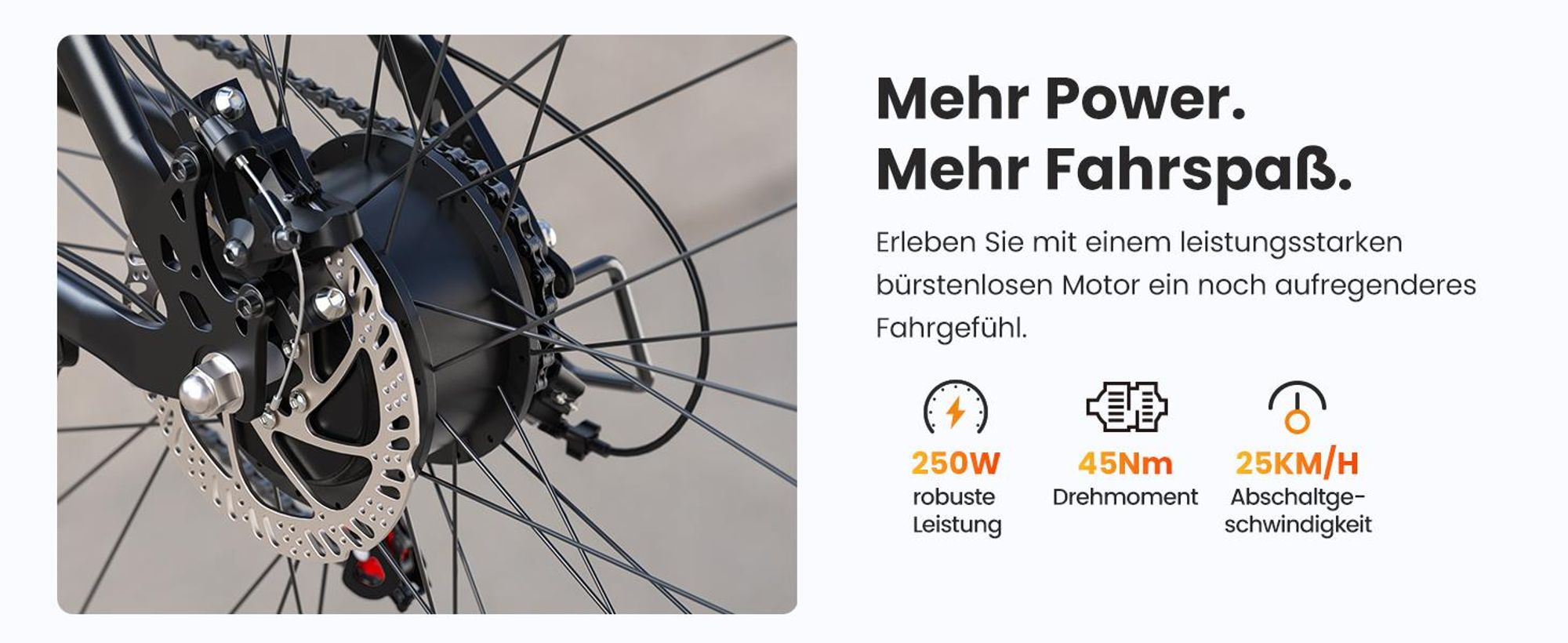 Touroll U1 26 E-Bike 26 Zoll 250W 468Wh Shimano 21-Gang 65km Reichweite StVZO IPX4 Schwarz