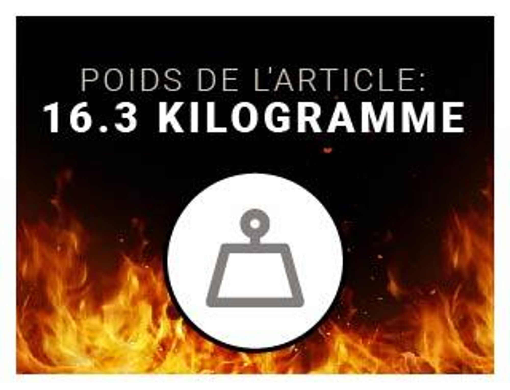 Cheminée électrique BALDERIA Agnes 50 - Cheminée 3 en 1 sur pied, murale ou encastrable