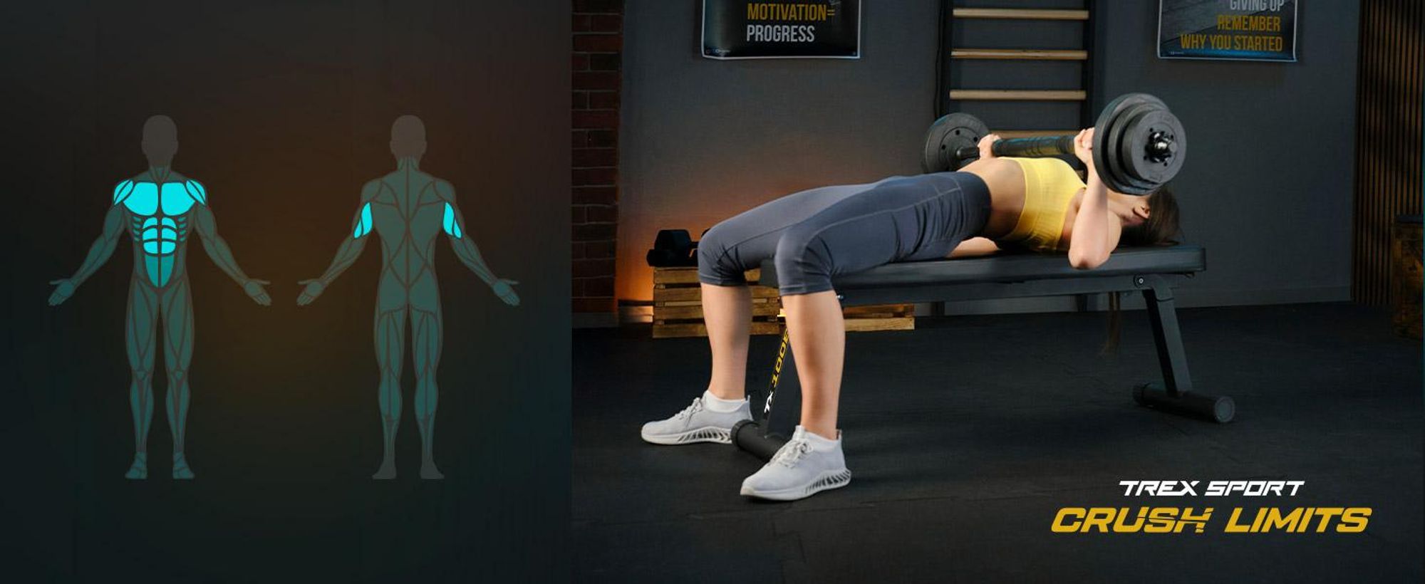 TREX SPORT Flachbank TX-100B | Hantelbank klappbar für Krafttraining | Home Gym Trainingsbank für Bankdrücken | Stahlrahmen, rutschfest, gepolstert