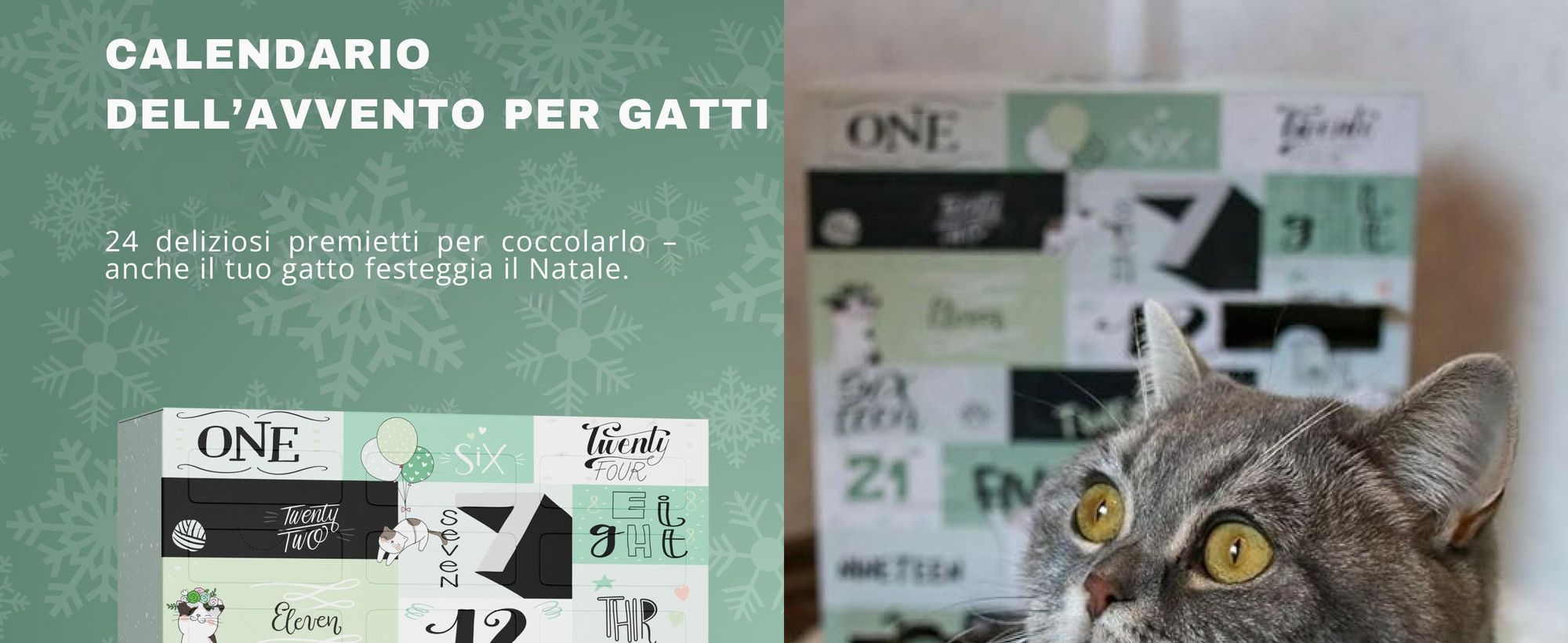 BOXILAND® calendario avvento gatto 2026, 24 snack gatto, premi, 16 varietà