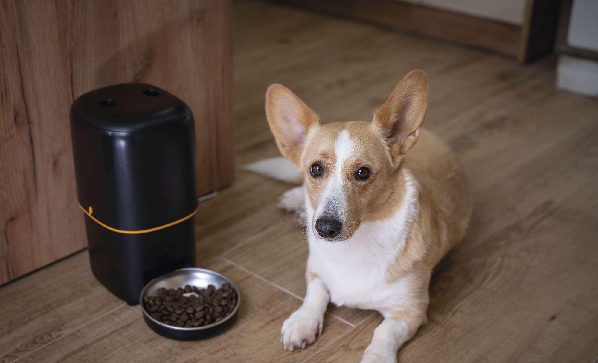EMOS GoSmart automatické krmítko 4l, WLAN Pet Care s aplikací, pro kočky a psy s plánem, hlasovým záznamem, dávkováním 1-10 jídel, černá barva