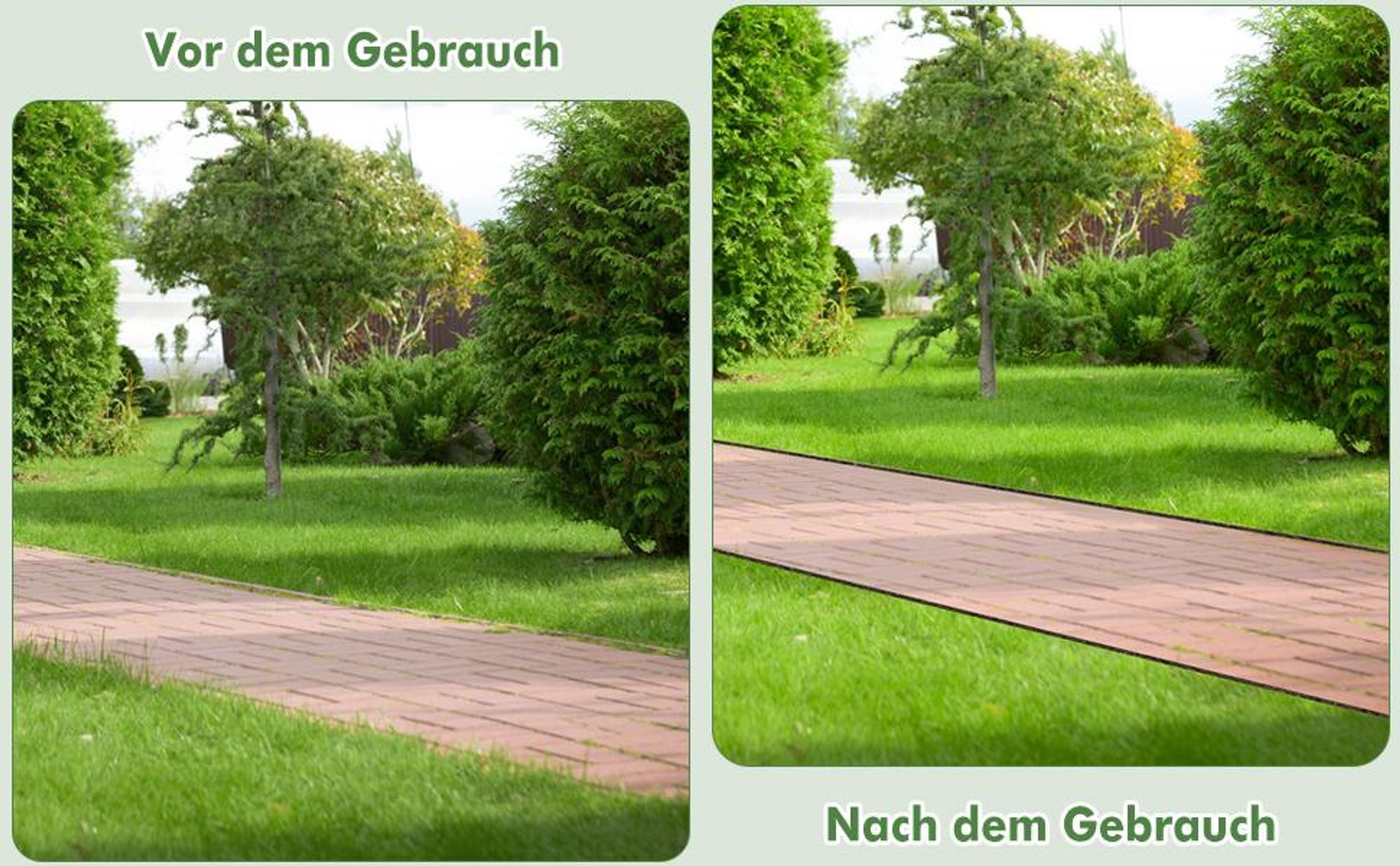 Vor‑Nach‑Vergleich – Saubere Rasenkanten nach der Bearbeitung