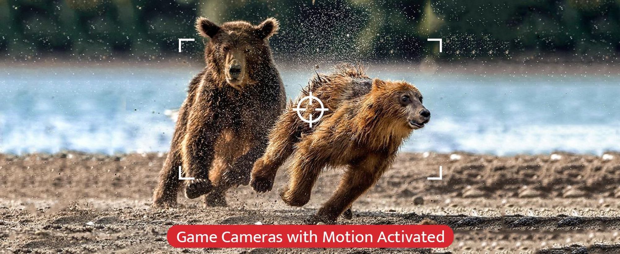 usogood 4K Wildtierkamera mit Bewegungsmelder Nachtsicht Jagdkamera mit 32GB Karte & 8 Batterien