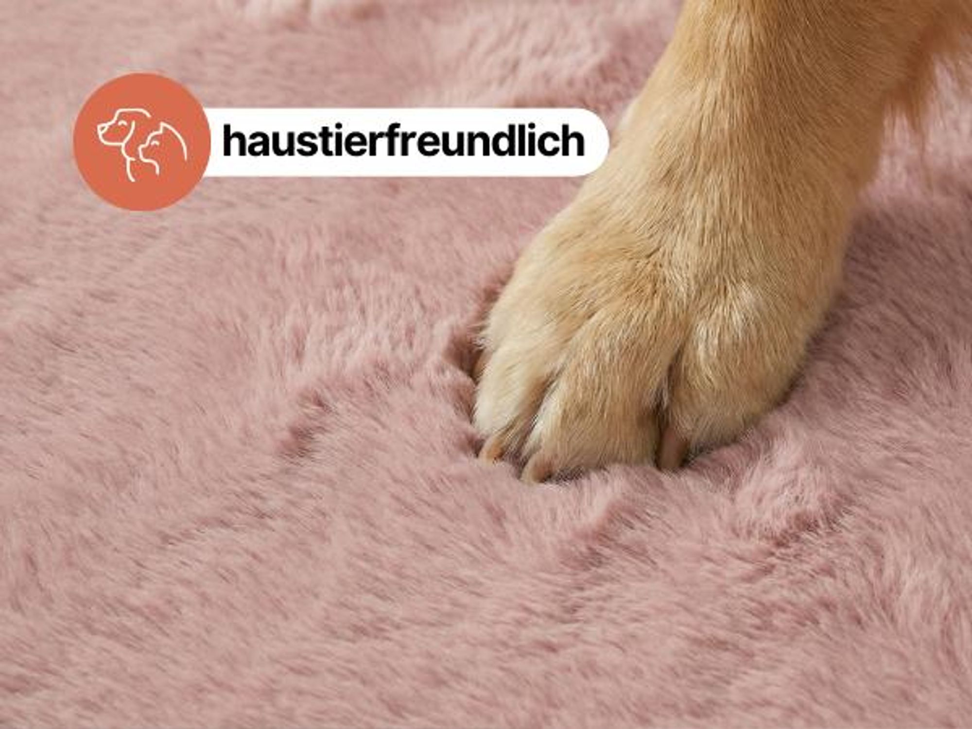 Tapiso Kurzflorteppich LUMI weich hellbraun Wohnzimmer waschbar 160 x 220 cm