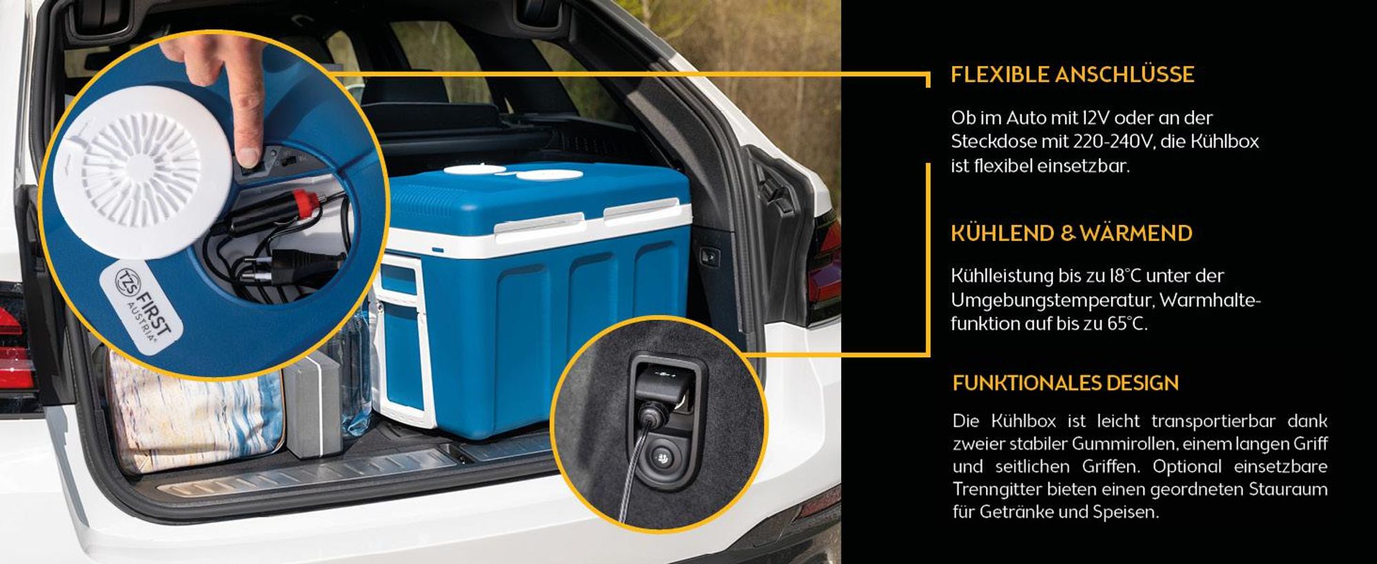 TZS First Austria - Kühlbox 45L elektrisch 12V 230V Anschluss für Auto & Steckdose - Thermoelektrisch - Blau