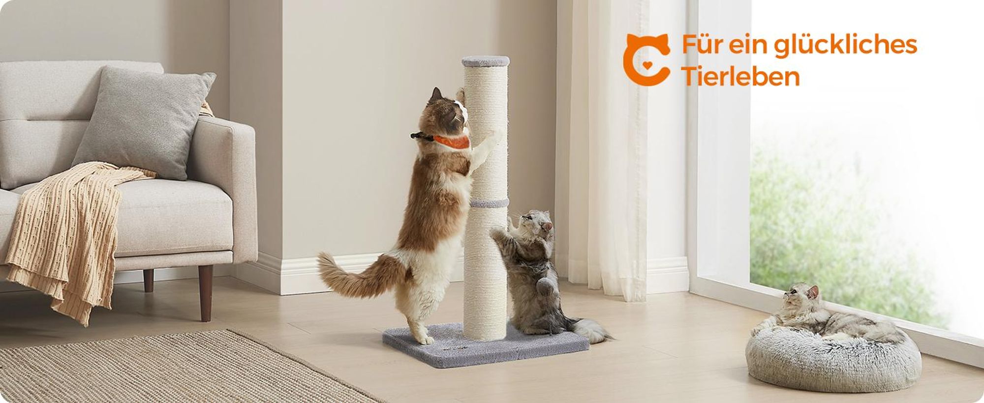 Feandrea Kratzbaum, Kratzsäule, 13 cm dicker Stamm, Kratzstamm für mittelgroße und große Katzen, mit Plüschball