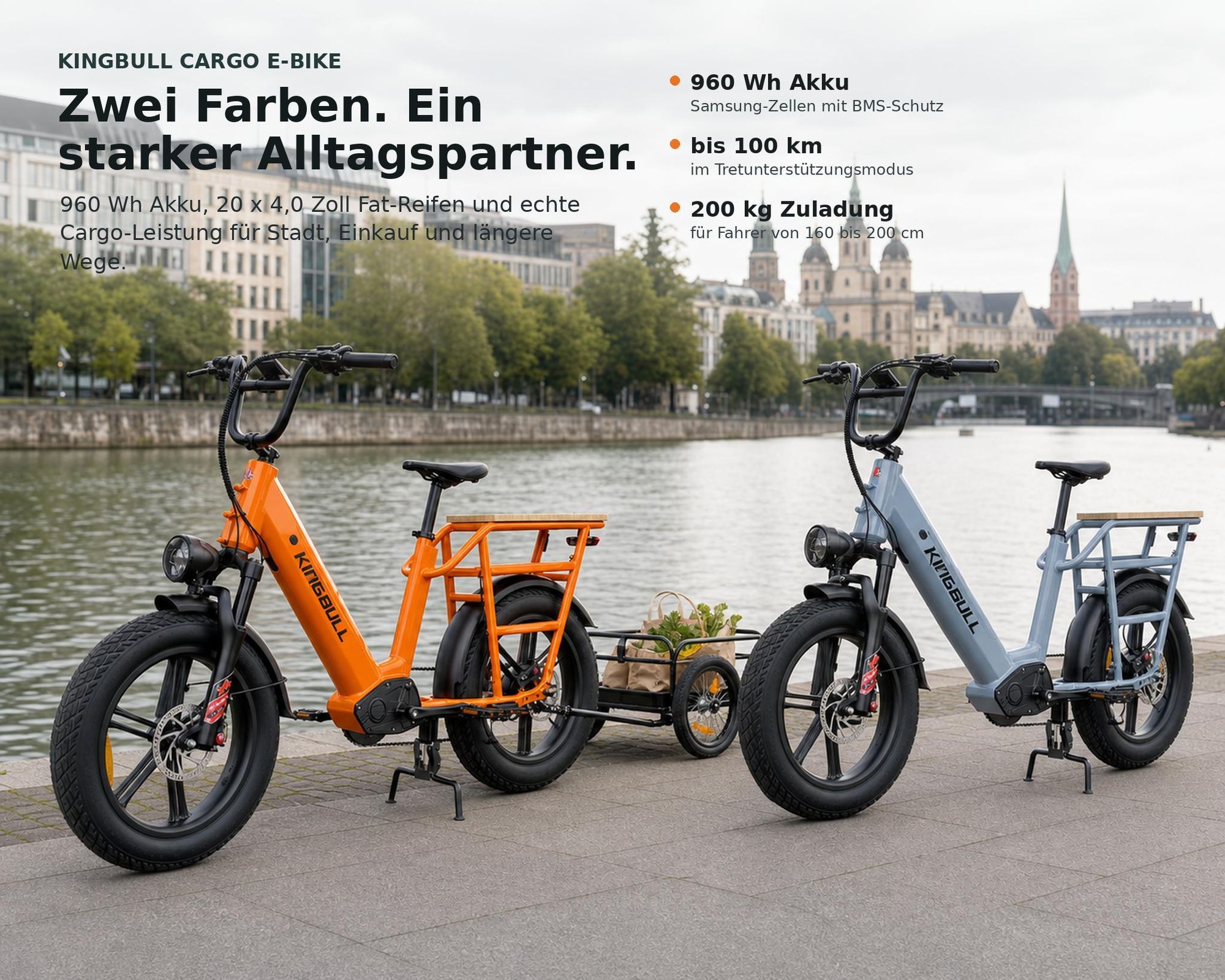 Cargo E-Bike 20 Zoll Fat-Reifen mit 960Wh Akku und bis zu 100 km Reichweite, 250W Heckmotor, Shimano Schaltung, Hydraulische Scheibenbremsen