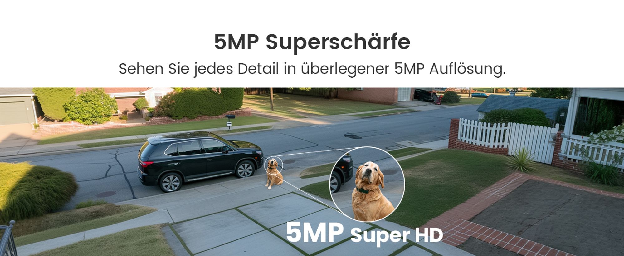ZOSI 5MP WiFi 6 Überwachungskamera Aussen Set, 8CH NVR mit 1TB HDD, 4X 360° WLAN Kamera mit Personen- und Fahrzeugerkennung, Farb-Nachtsicht, C296B