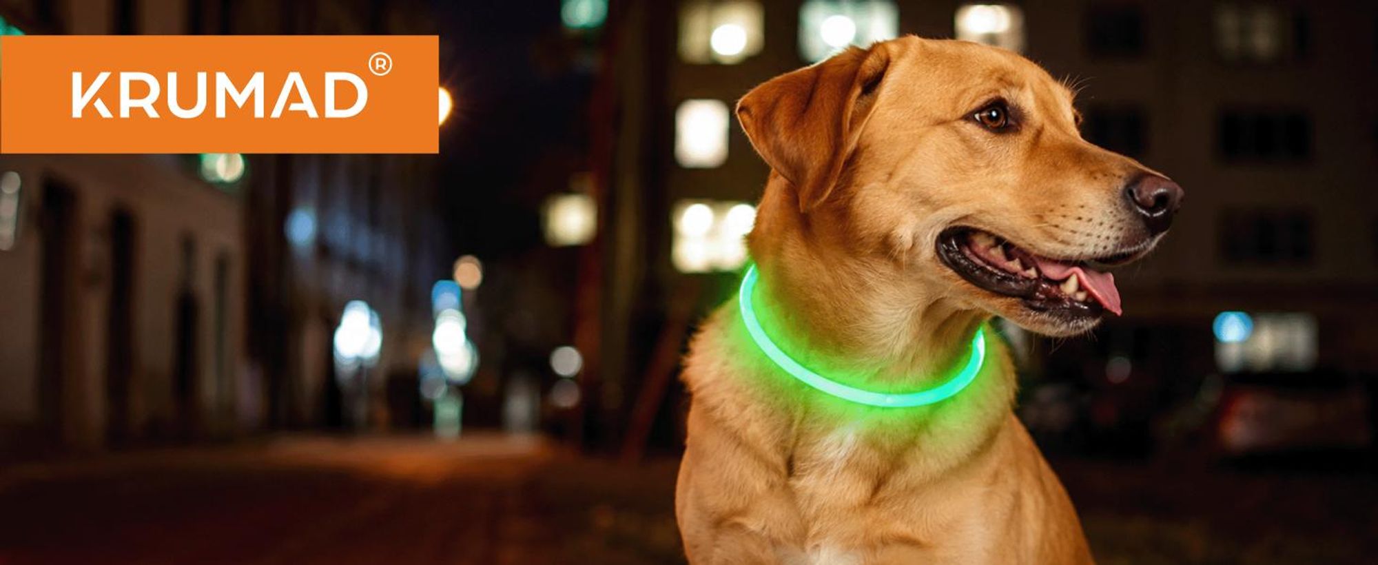 KRUMAD LED Hundehalsband Grün 70 cm, USB aufladbares Leuchthalsband für Hunde, 3 Lichtmodi, verstellbar, bis 6h Leuchtdauer