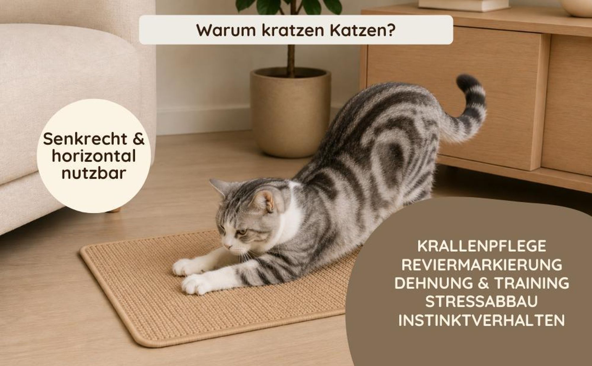 Katze kratzt aus unterschiedlichen Gründen