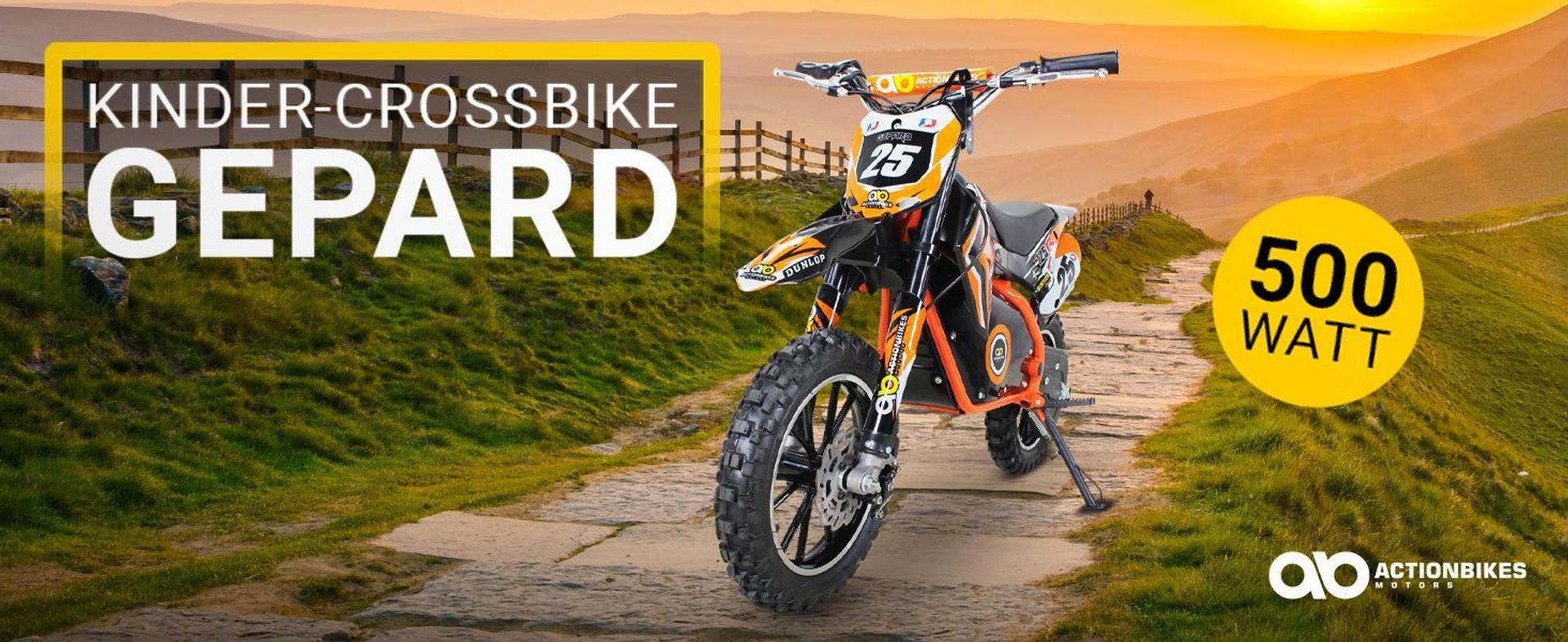 Actionbikes Motors Kinder Enduro Elektro Crossbike | 500 Watt - Bis 24 km/h - Motocross - Pocketbike - Cross Bike - Motorrad - Dirt Bike (Orange)