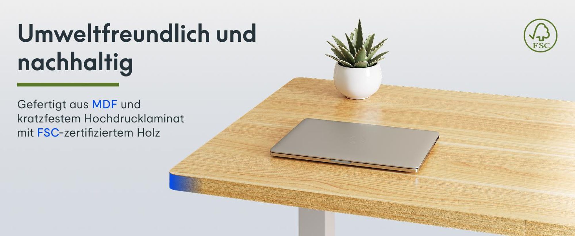 FLEXISPOT Höhenverstellbarer Schreibtisch  EU, 22mm Einteilige Tischplatte 160x80cm, Elektrisch mit 2 starken Motoren, 4 Memory-Funktion(Ahorn)