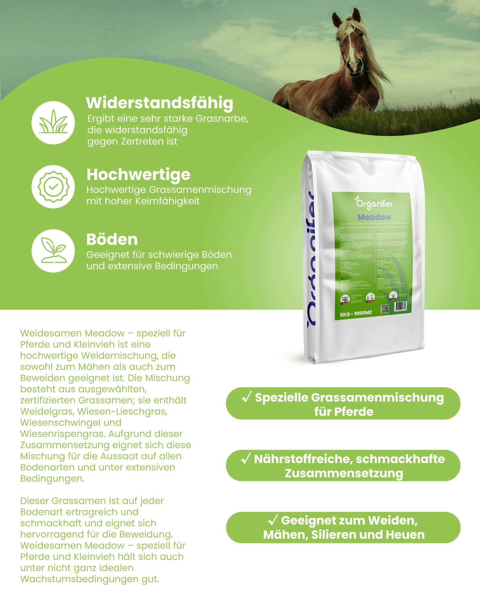 Weidesamen Meadow 5 kg = 1000 m² – Pferde & Kleinvieh Weidegras Saatgut, Strapazierfähige Futterweide, Robustes Weidelgras Mischung – Organifer
