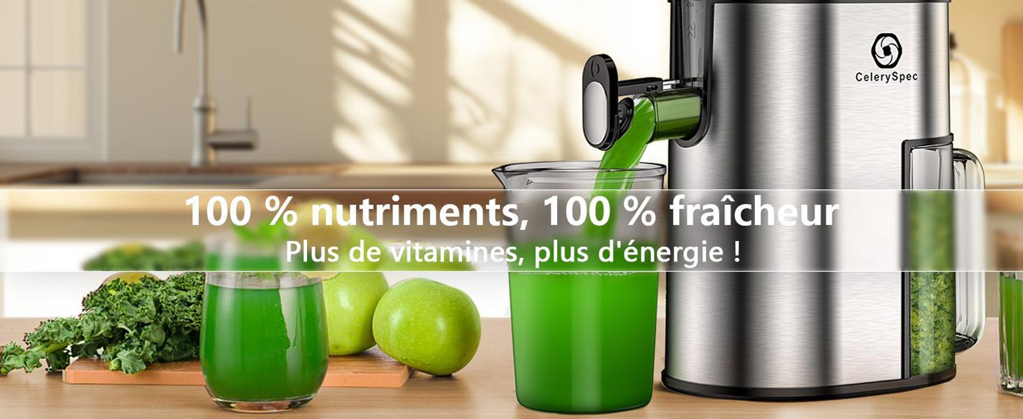 CelerySpec SJ-048-EU-SS Centrifugeuse - Pour légumes et fruits entiers Puissance 250W Capacité 1.8L Extracteur de jus Matériau alimentaire - Argenté