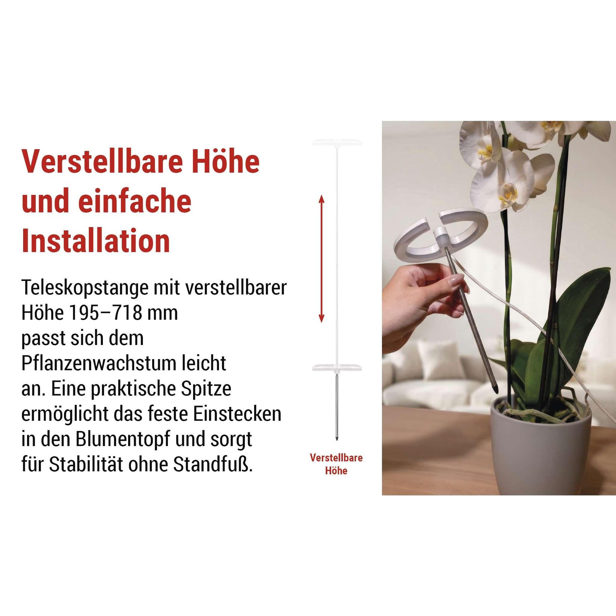 EMOS LED-Grow-Lampe für Zimmerpflanzen und Sukkulenten, runde Wachstumslampe für Orchideen mit Timer, höhenverstellbar, 300lm, 1,7m USB-Kabel, Z7902