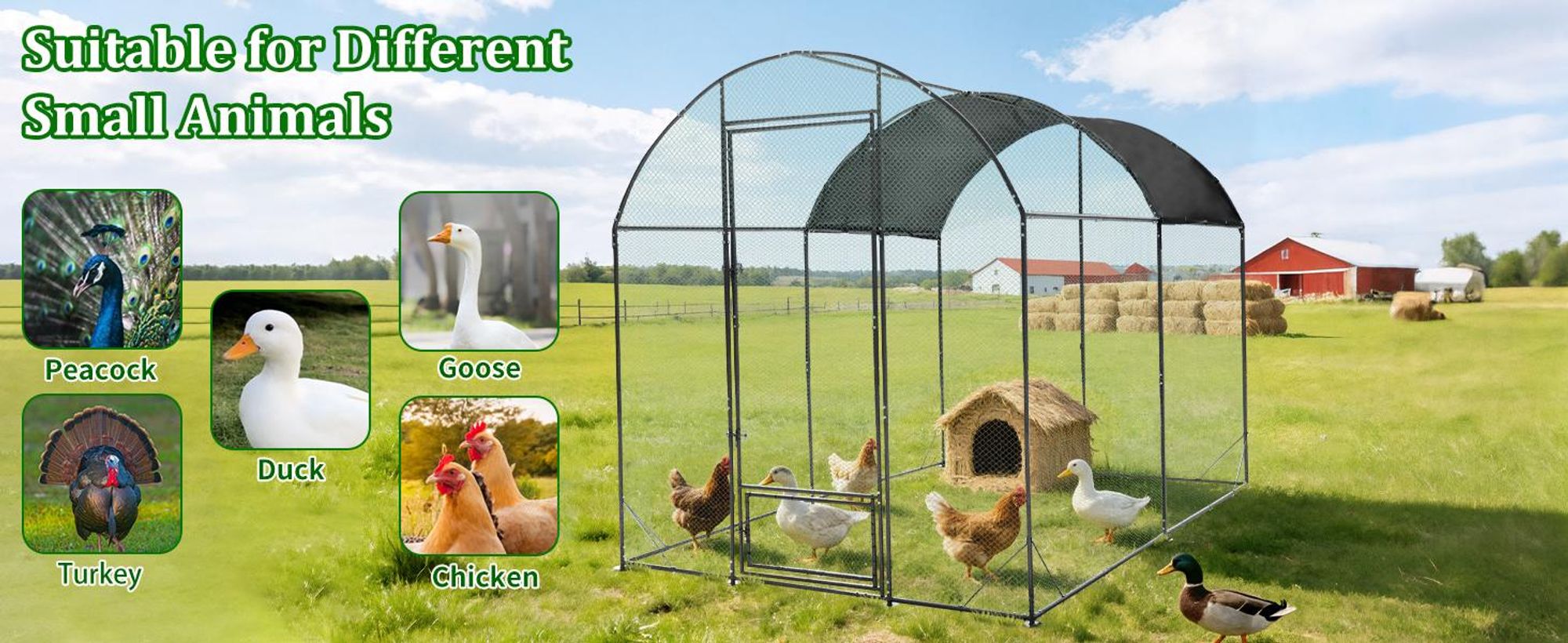 WISFOR Hühnerstall 203x302x220cm Hühnerhaus Kleintierstall Geflügelstall mit Dach