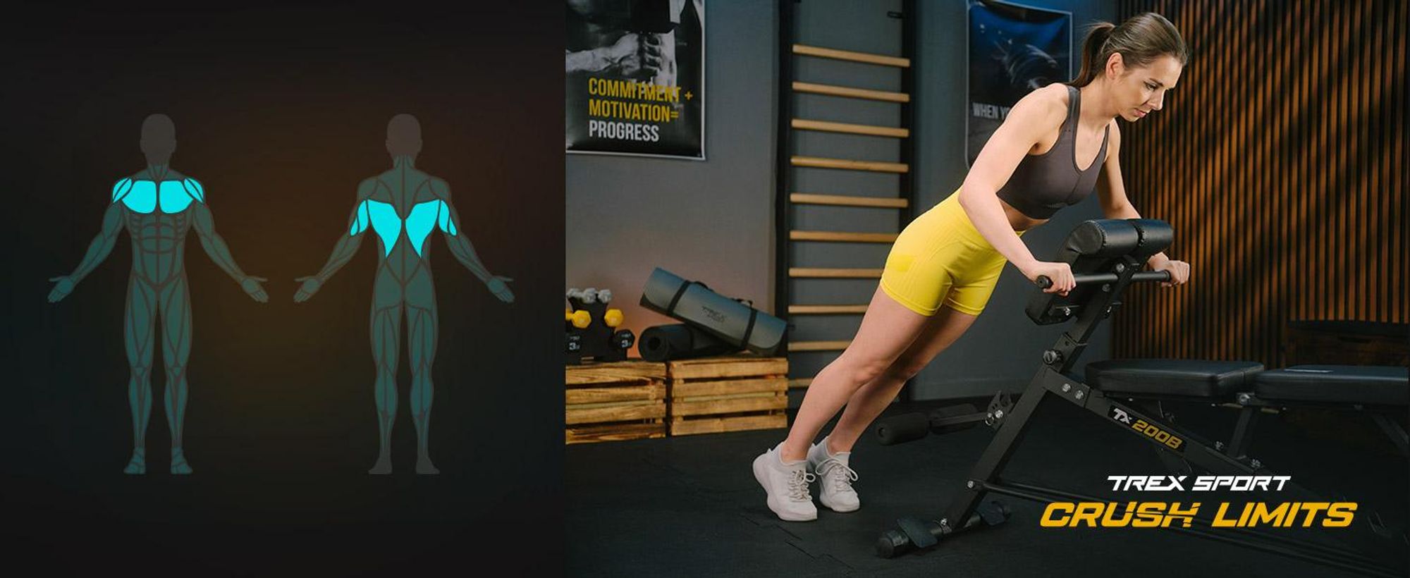 TREX SPORT Multifunktions Hantelbank TX-200B | Trainingsbank mit 7-fach verstellbarer Rückenlehne, Curlpult & Beinstrecker, bis 250 kg