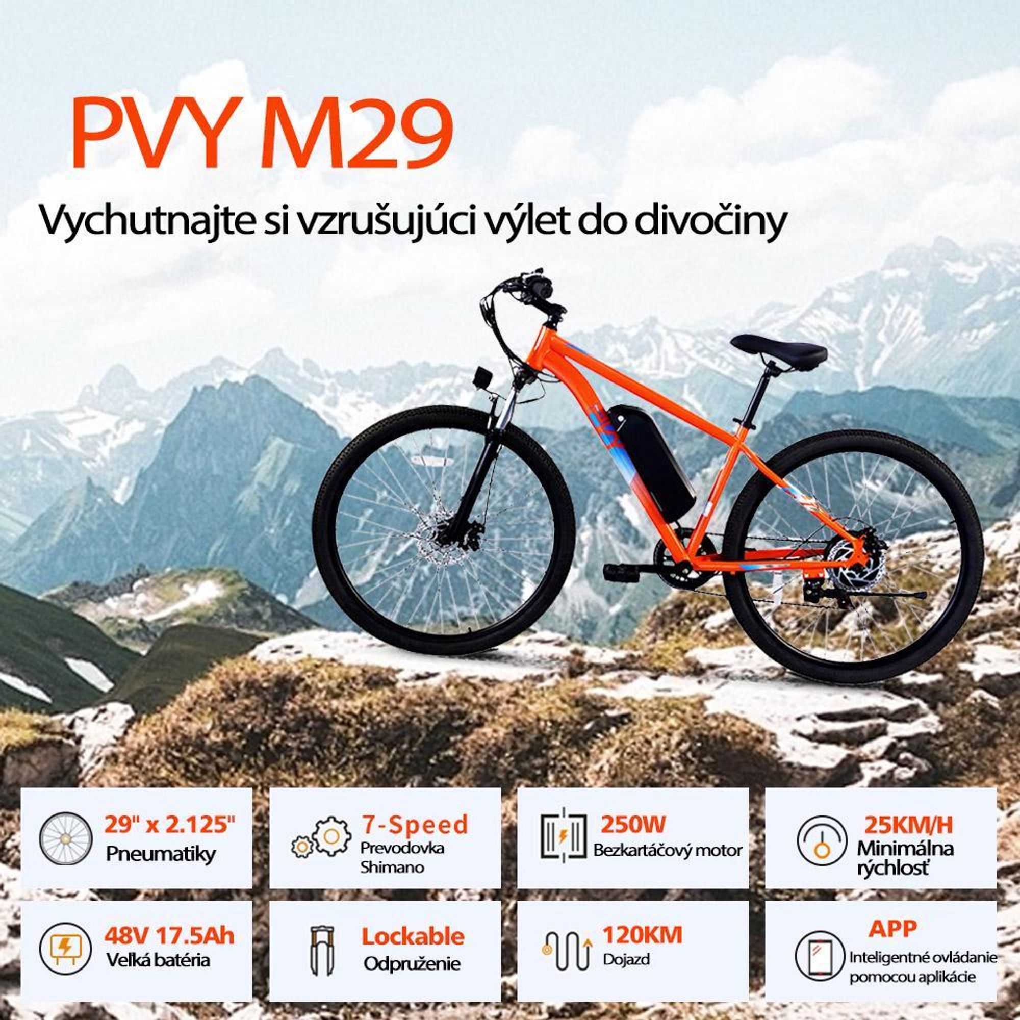 PVY M29 Elektrický Bicykel - 250W Motor 48V17.5Ah Batéria 29" kolesá Mechanická Kotúčová Brzda - Sivá