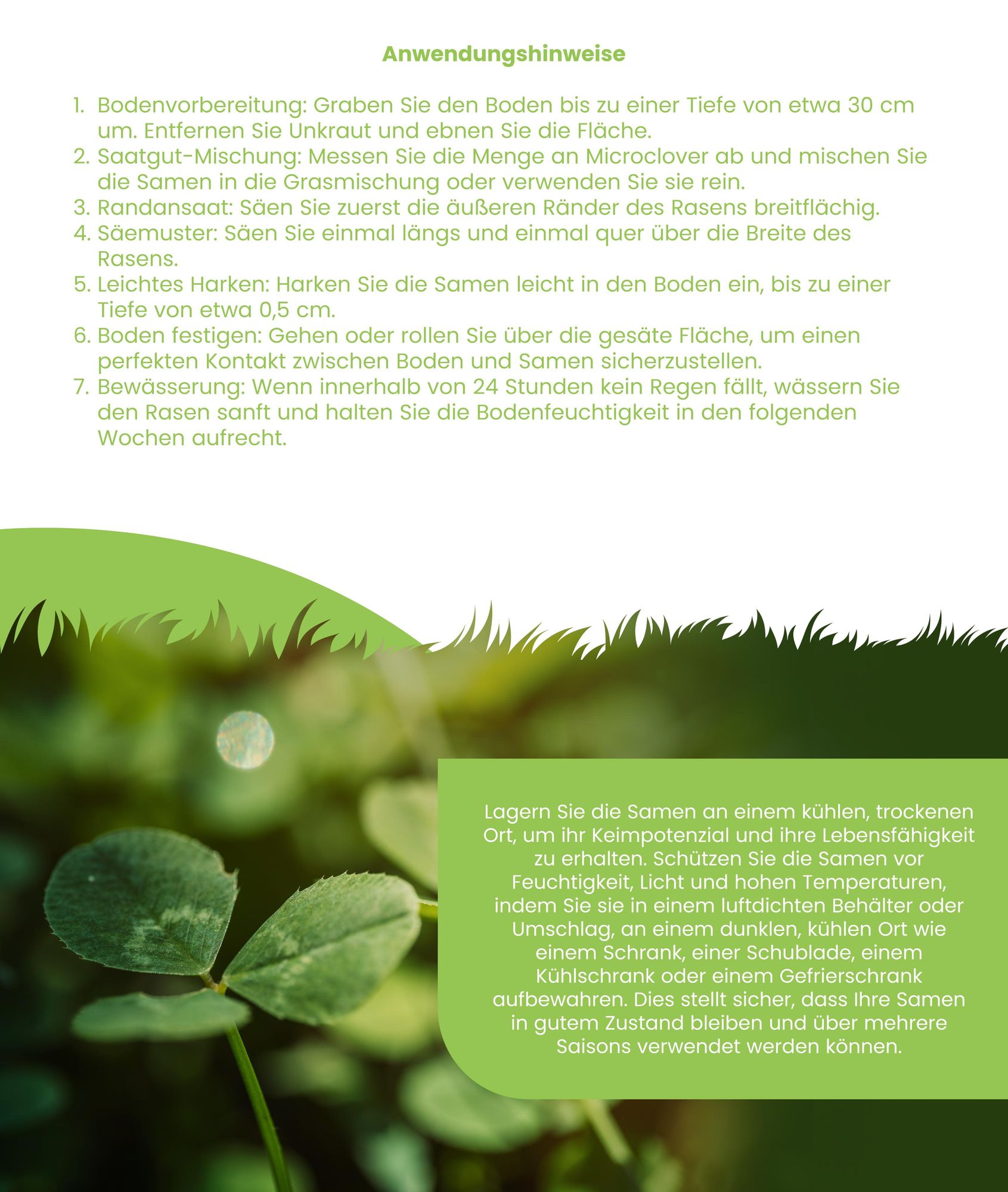 Microclover Lawn – Reiner Kleesamen (100 g für 50 m2)