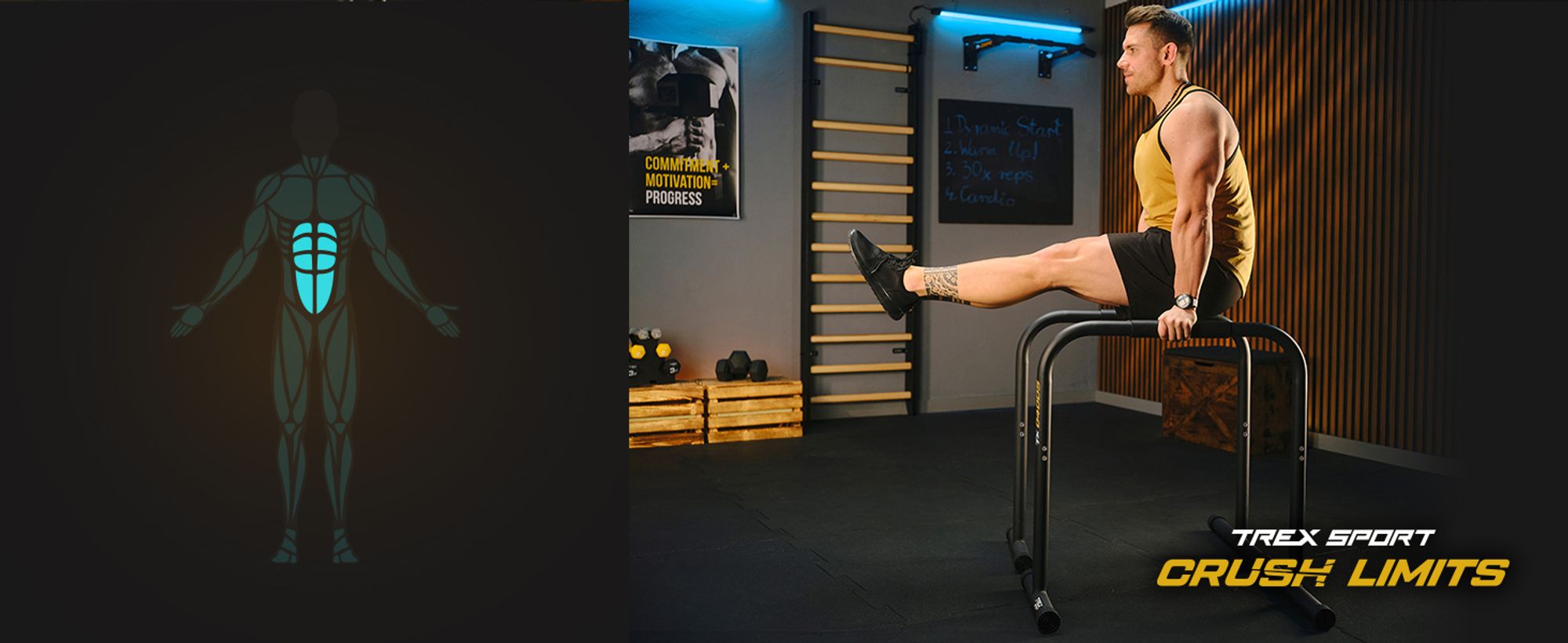TREX SPORT Dip Barren 2er Set TX-040DS | Dip Station bis 200 kg, höhenverstellbar | Parallettes Calisthenics Equipment