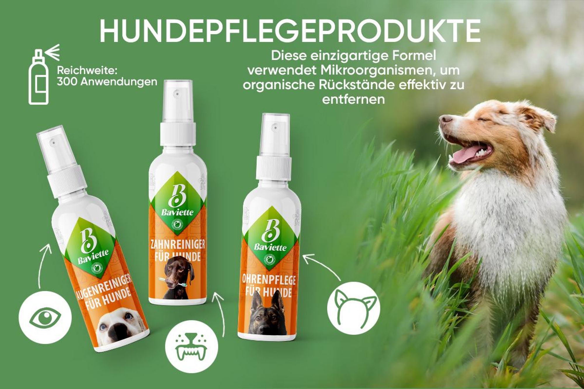 Baviette 100ml Wundpflege & Wundreiniger für Hunde – Sanfte, probiotische & stressfreie Reinigung des äußeren Hautbereichs, geruchlos