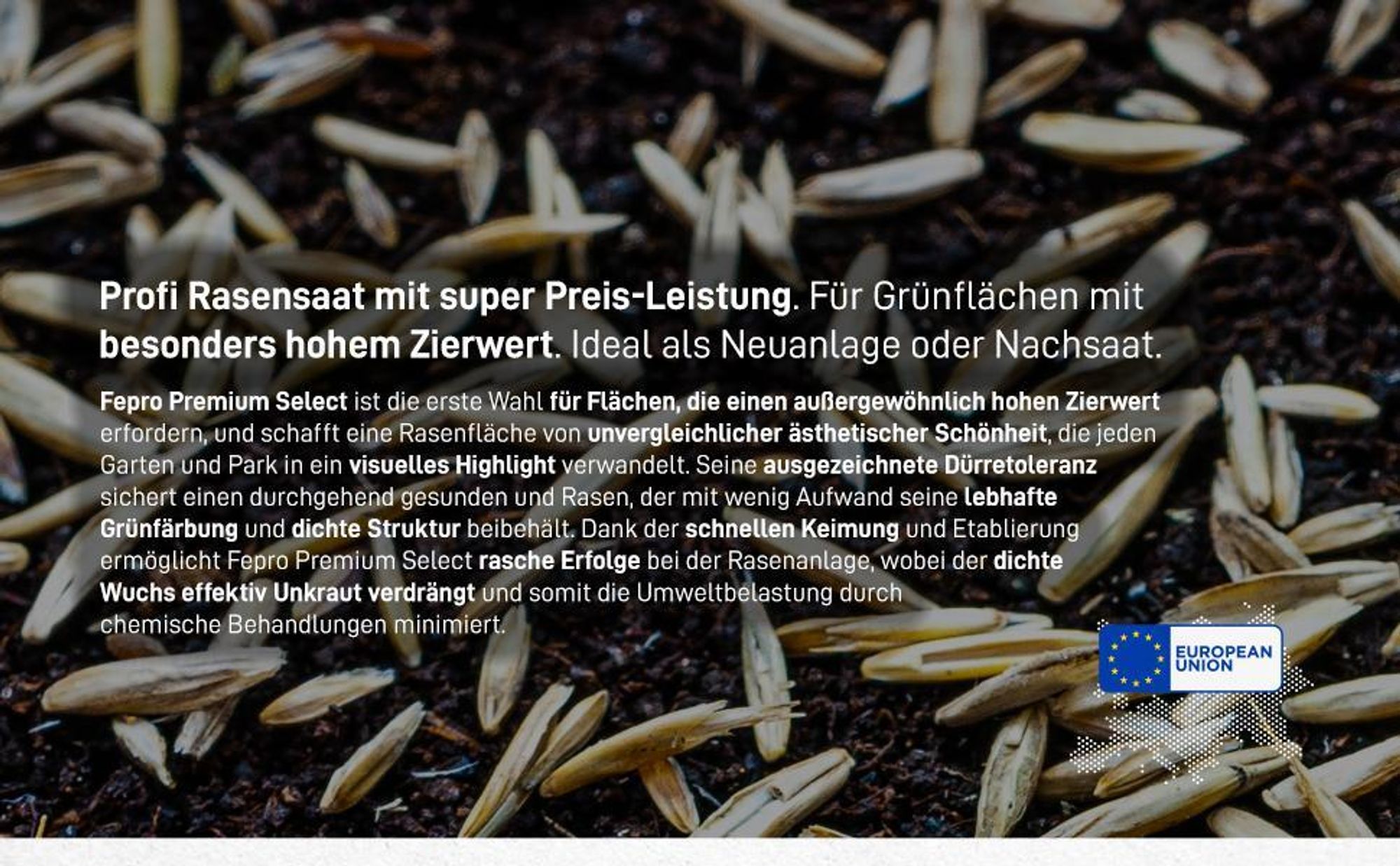 1kg Premium Rasensamen für Profis 40m², Zierrasen Superrasen, besonders dichtwachsend und tiefgrün, ideal für Neuansaat und Nachsaat, Rasensaat Grassamen