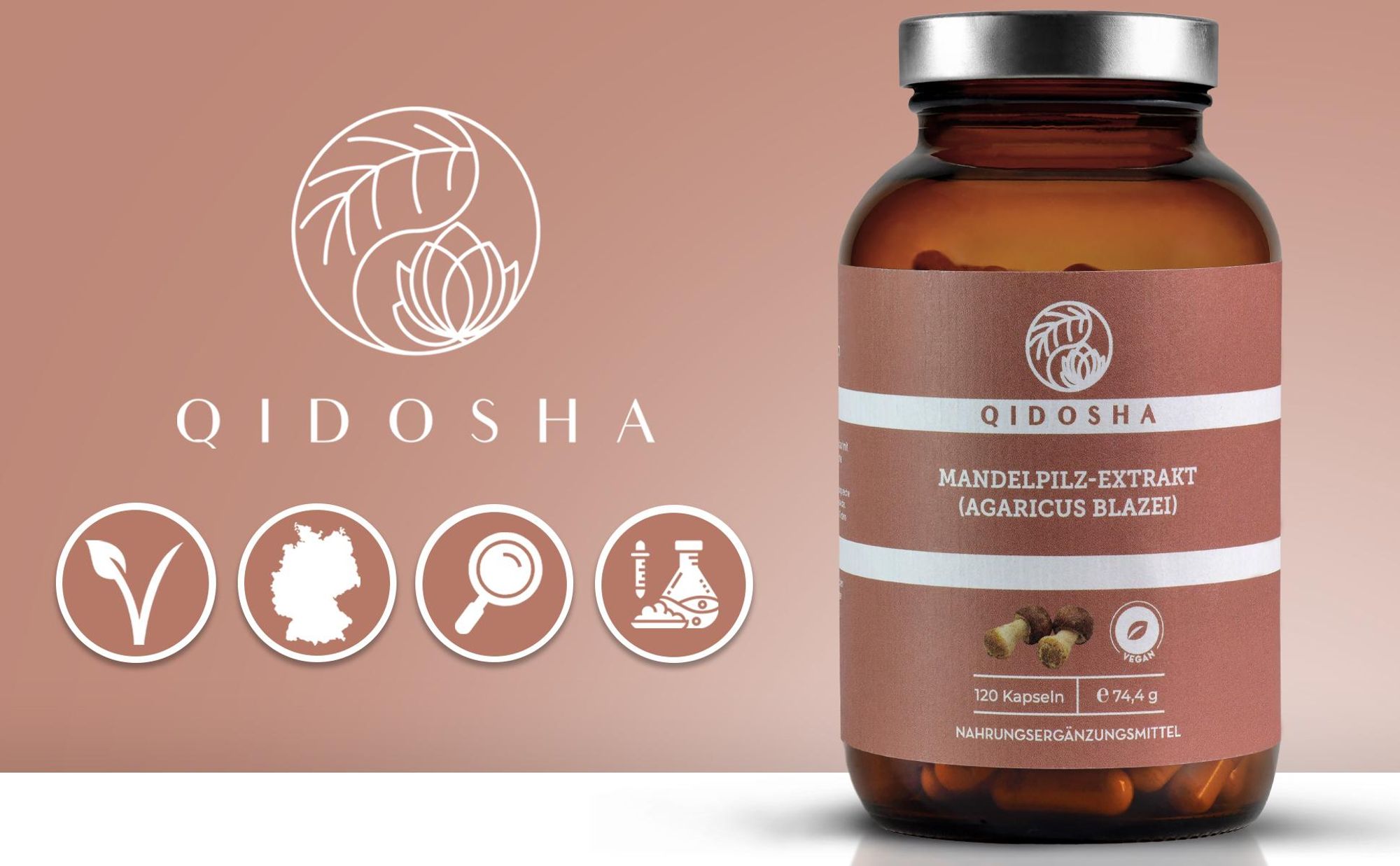 QIDOSHA <b>Mandelpilz</b>-Extrakt: Wirkweise