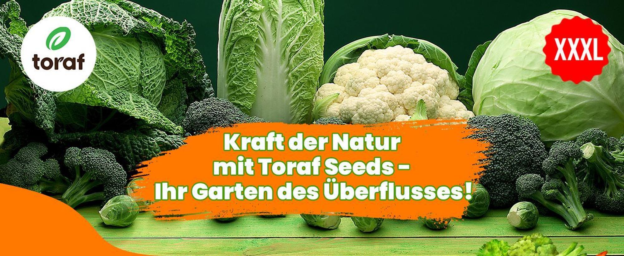 Toraf Gemüsesamen XXL Set 4500 Samen 12 Sorten Garten