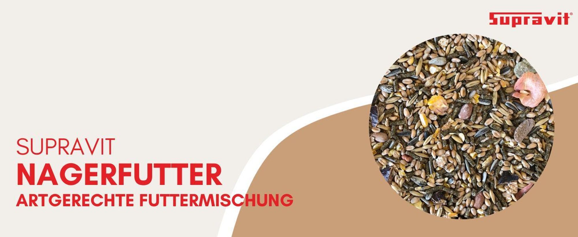 Produktbild auf grafischem Hintergrund