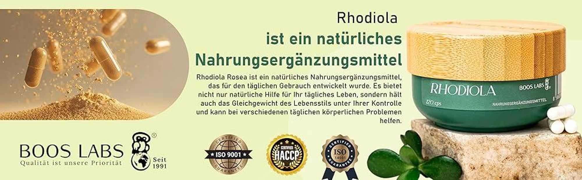 das stärkste Rhodiola Rosea I 500mg I 120 vegane Kapseln I 1 Kapsel pro Tag I Rhodiola Rosea Kapseln Hochdosiert in 1 Kapsel I Rosenwurz im Beutel