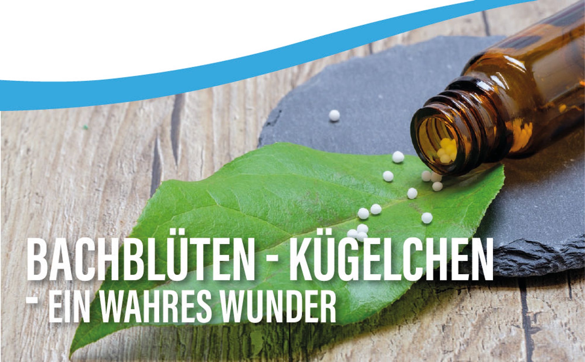 Saint Nutrition® Bachblüten Kügelchen | unterstützt gegen innere Unruhe & Stress – in stressigen Momenten – Stress & Überforderung