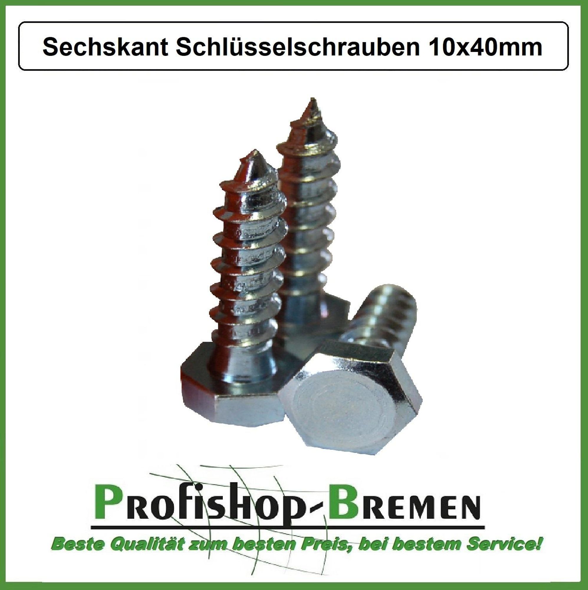 20 Stück Schlüsselschrauben verzinkt 10x40 mm Sechskant-Holzschrauben (Stückpreis: € 0,20)