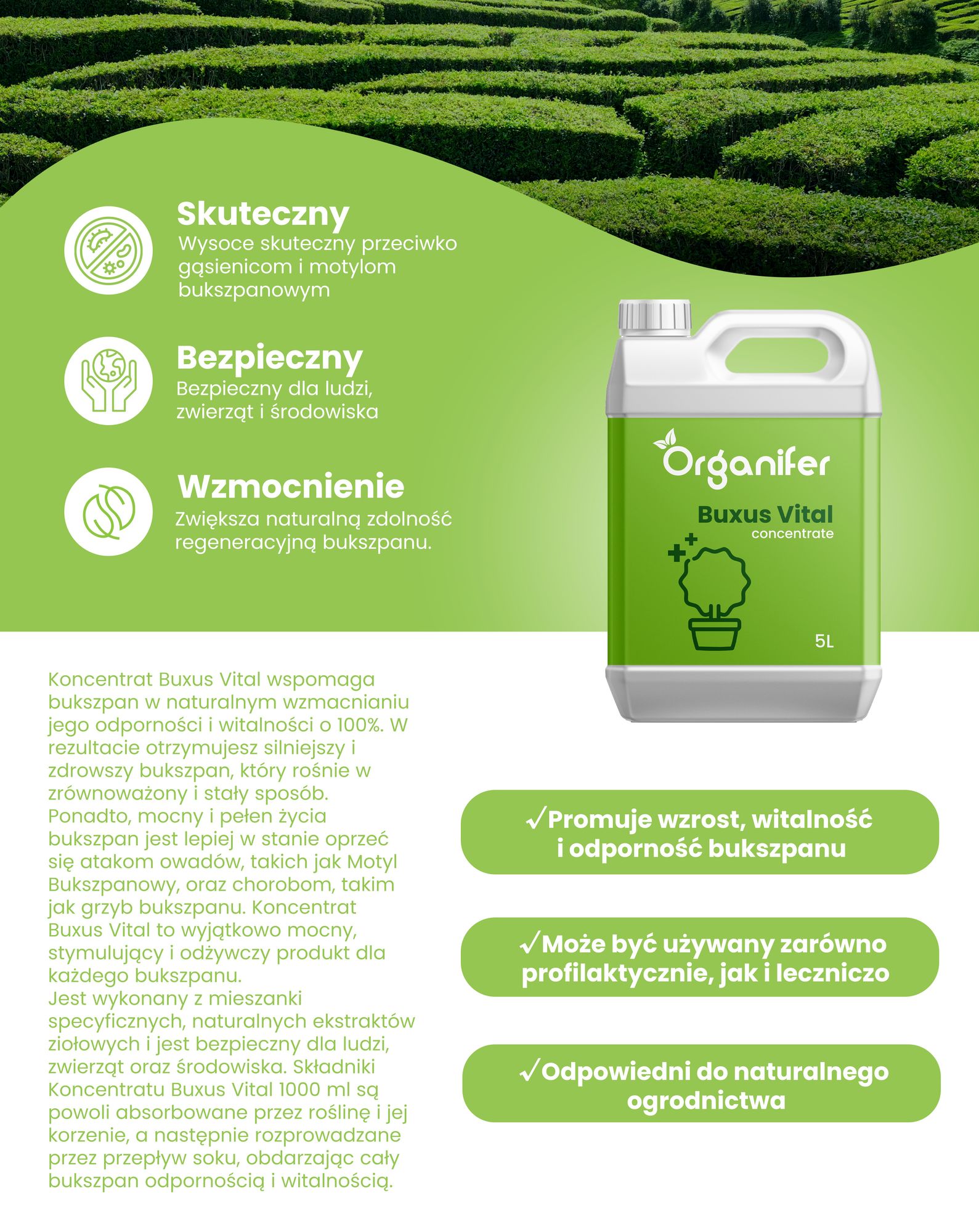 Buxus Vital 1000 ml – Koncentrat na 100 metrów żywopłotu z bukszpanu - Organifer