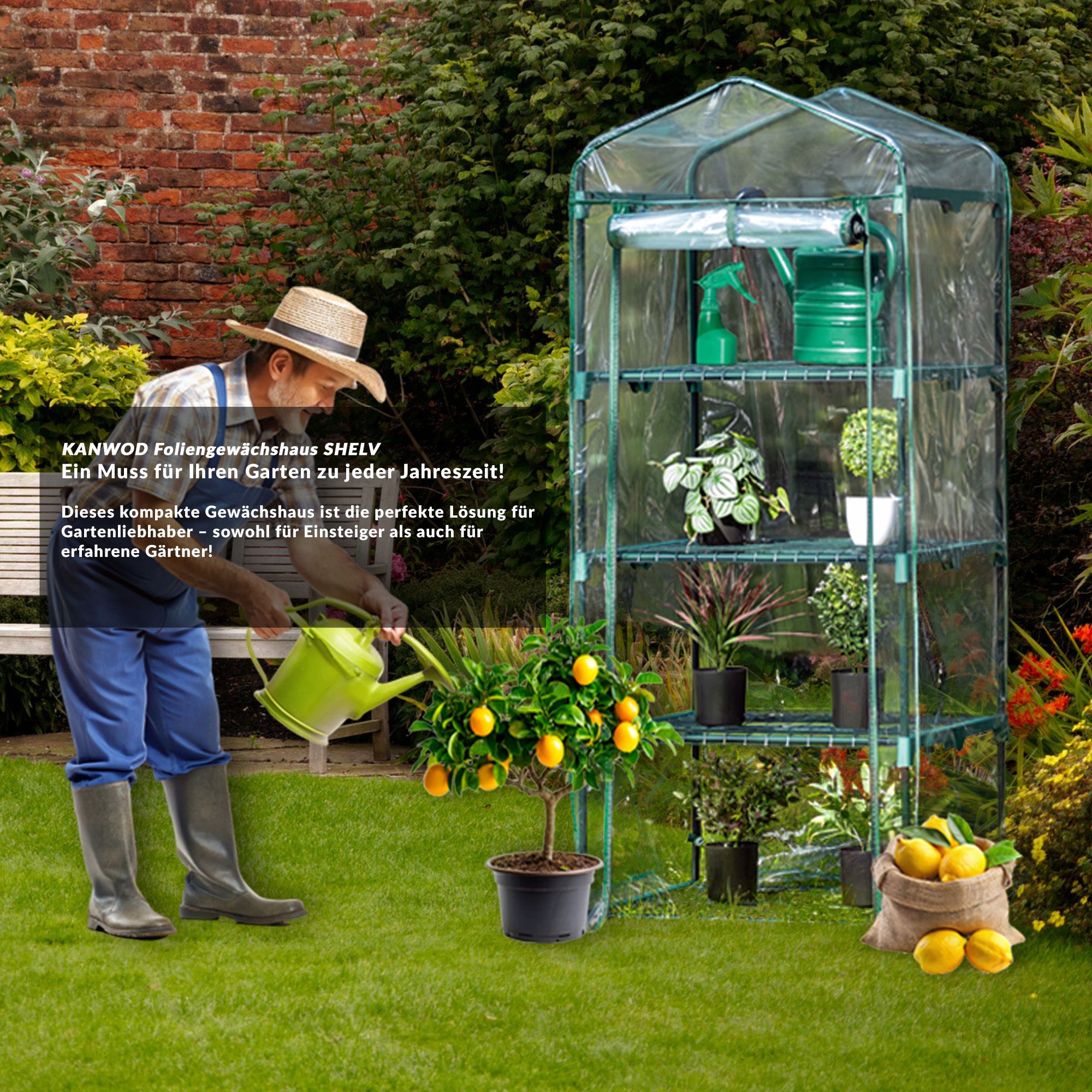 KANWOD Transparent Gewächshaus Garten mit 4 Ablagen mit Aufrollbarer Tür, 158x68x50 cm
