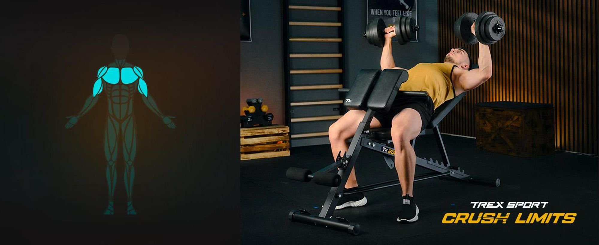 TREX SPORT Multifunktions Hantelbank TX-200B | Trainingsbank mit 7-fach verstellbarer Rückenlehne, Curlpult & Beinstrecker, bis 250 kg