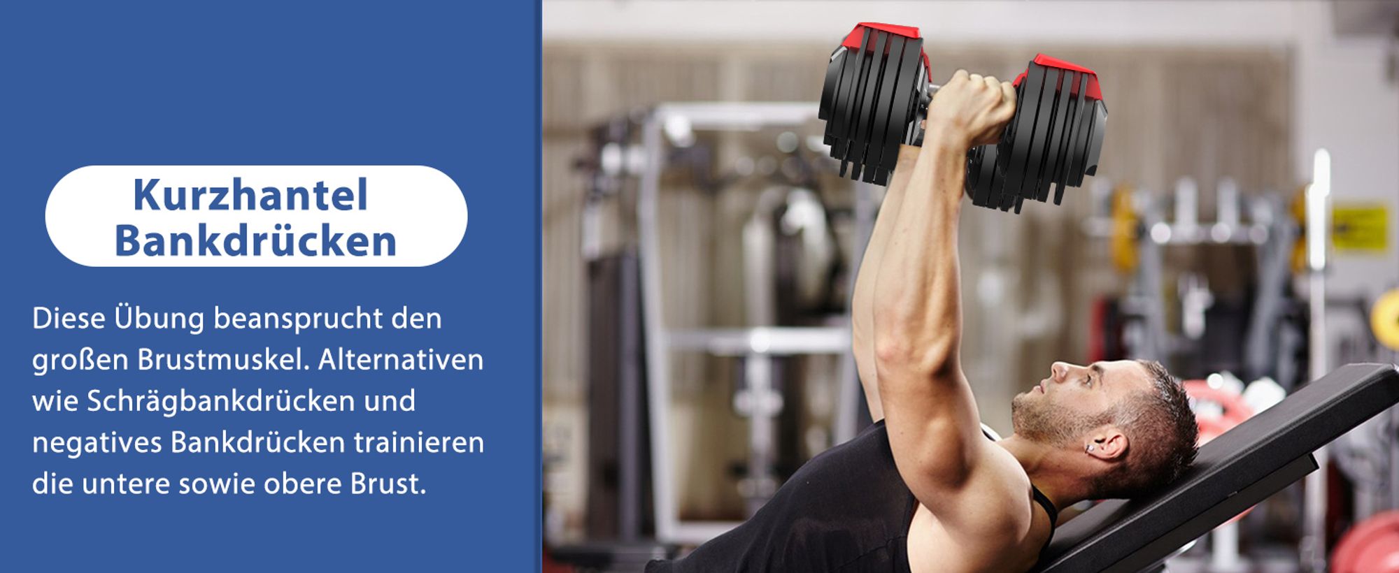 DH FitLife 24 kg verstellbare Hanteln 3-24 kg (12-in-1) mit Scheiben & schnellem Gewichtswechsel, verstellbare Kurzhanteln