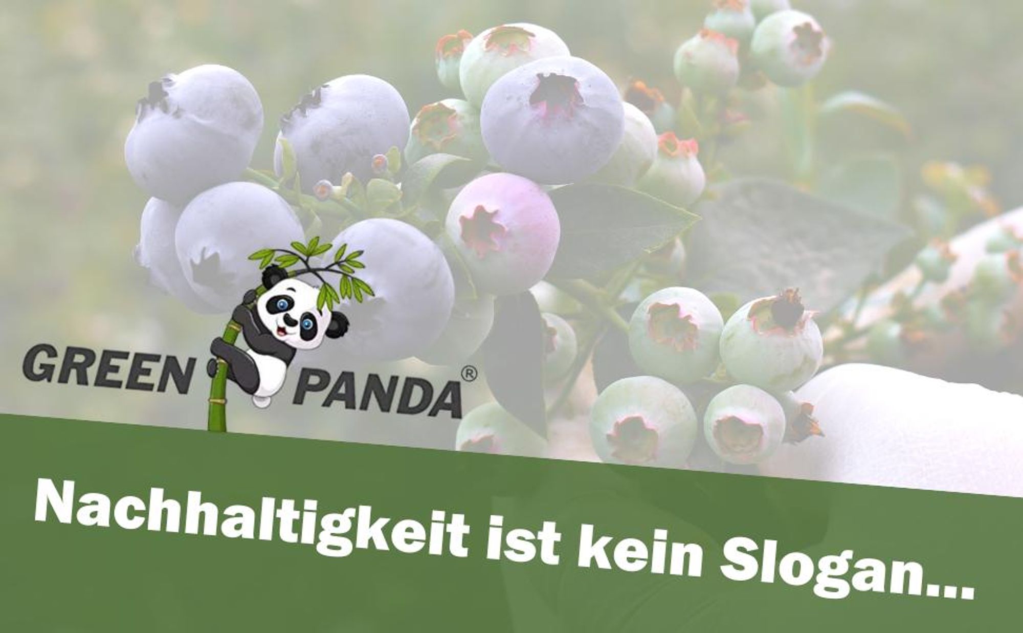 GreenPanda Heidelbeer- & Blaubeerdünger - Verbessert Ernte & Geschmack! - 1 Liter Beerendünger
