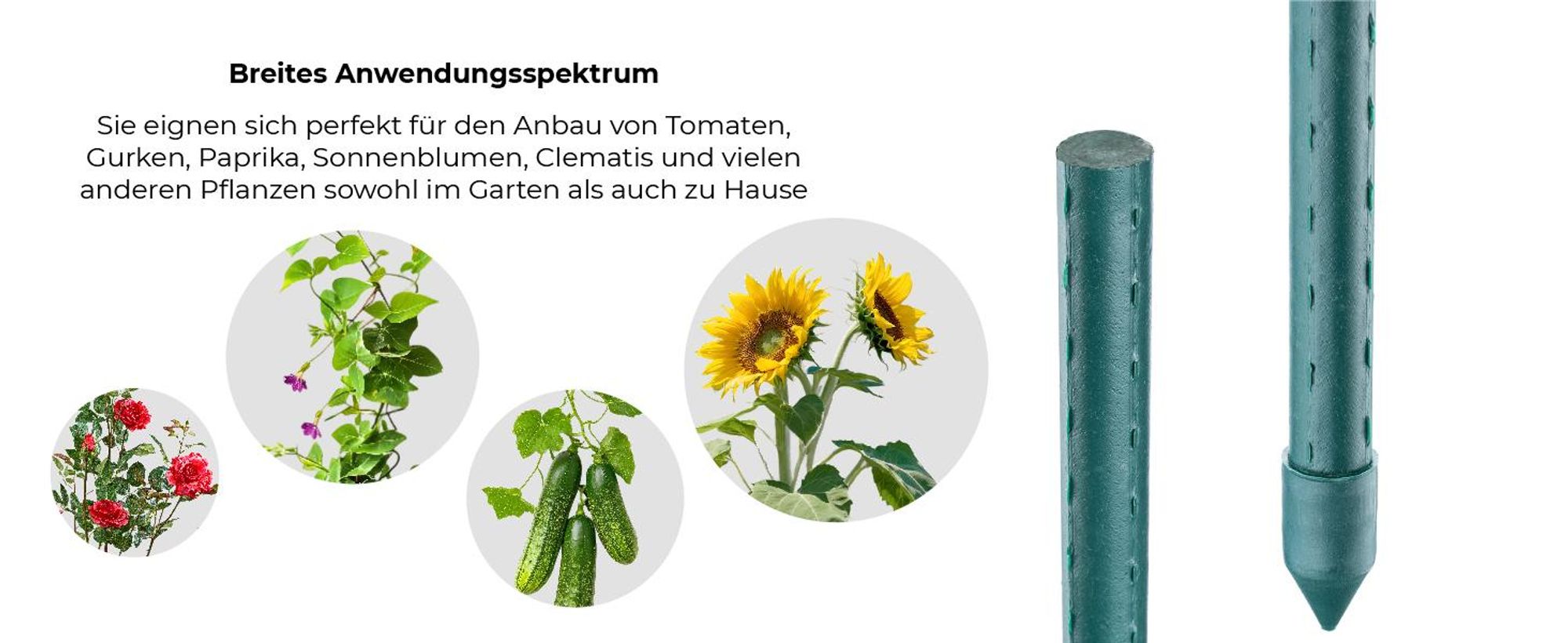 KADAX Blumenstütze aus Stahl "Trang", Pflanzen-Rankstab, Rankhilfe mit Häkchen, Grün, 150 cm, 10 Stück