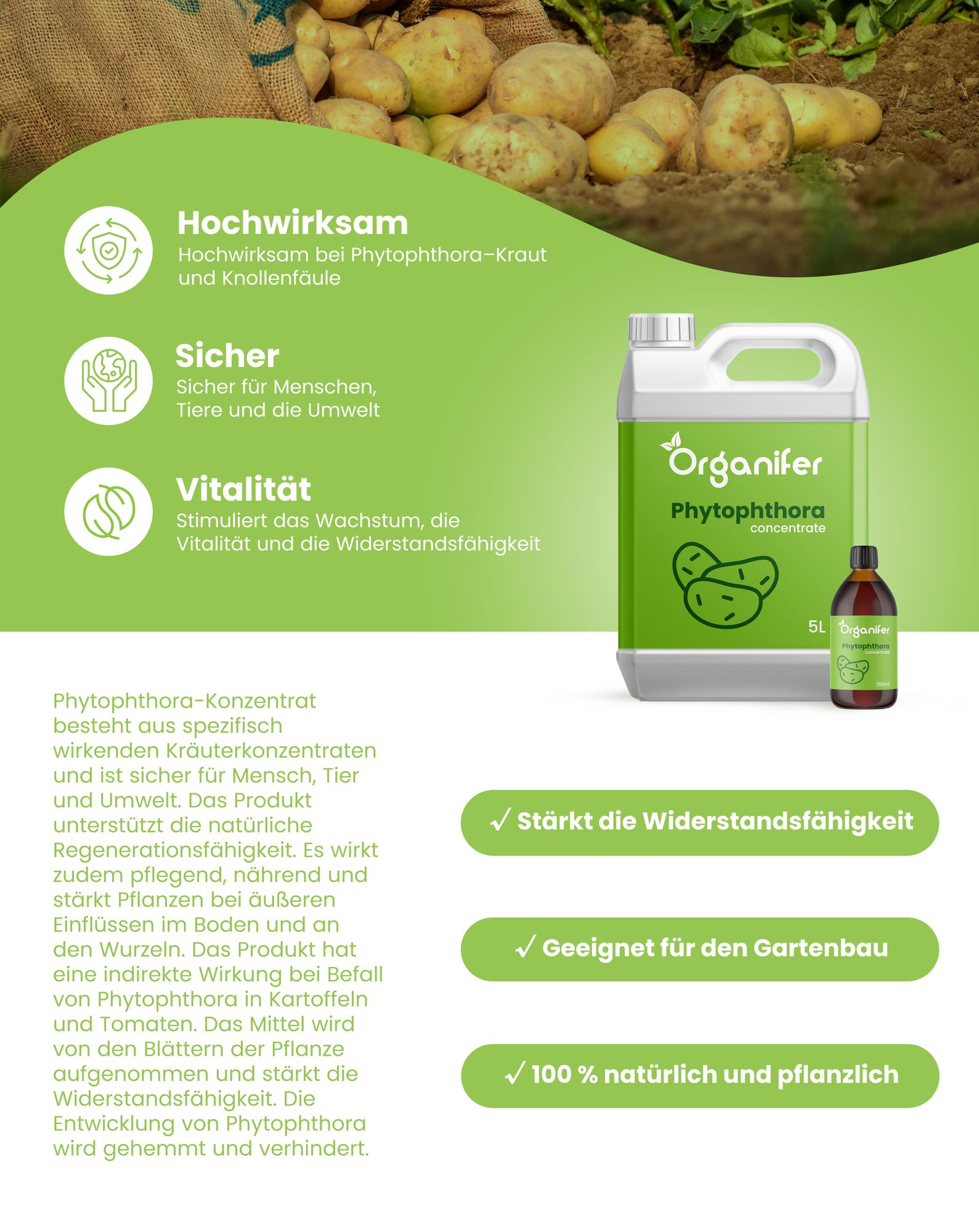 Phytophthora-Konzentrat - 1000 ml für 1000 m2- Organifer