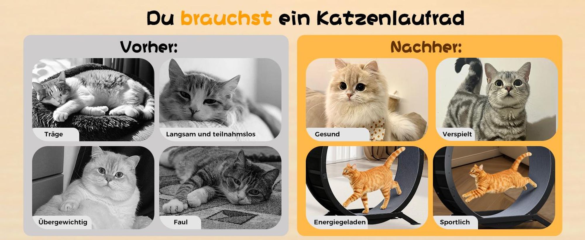 GTPLAYER Katzenlaufrad, laufrad Katze, Extra großer 100 cm, ultraleises Laufrad mit Abnehmbarer Teppich und Spielzeug, Aufkleber, Verriegelung, geeign
