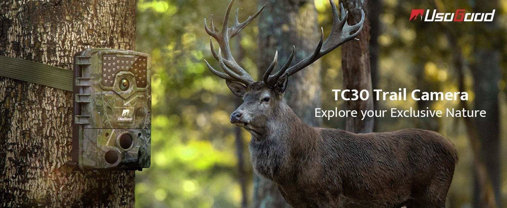 TC30 3 PIR 120° Erkennungsbereich Nachtsicht Jagdkamera