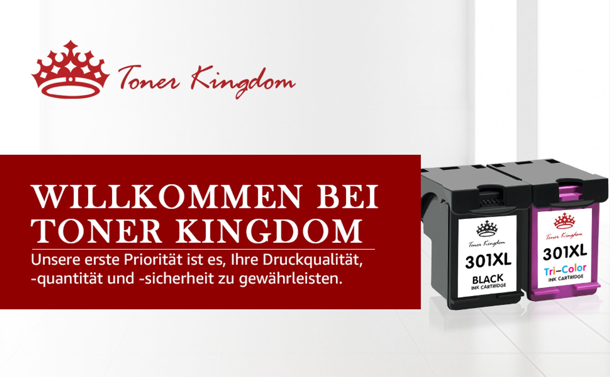 Kompatible Druckerpatronen 301 XL für HP 301XL Envy 4500 4508 5530 Officejet 2620 4630 4632 Deskjet 2540 2544 1510 3050 3055A 3059A 2050 1000 (1 Schwarz, 1 Farbe, 2er-Pack)