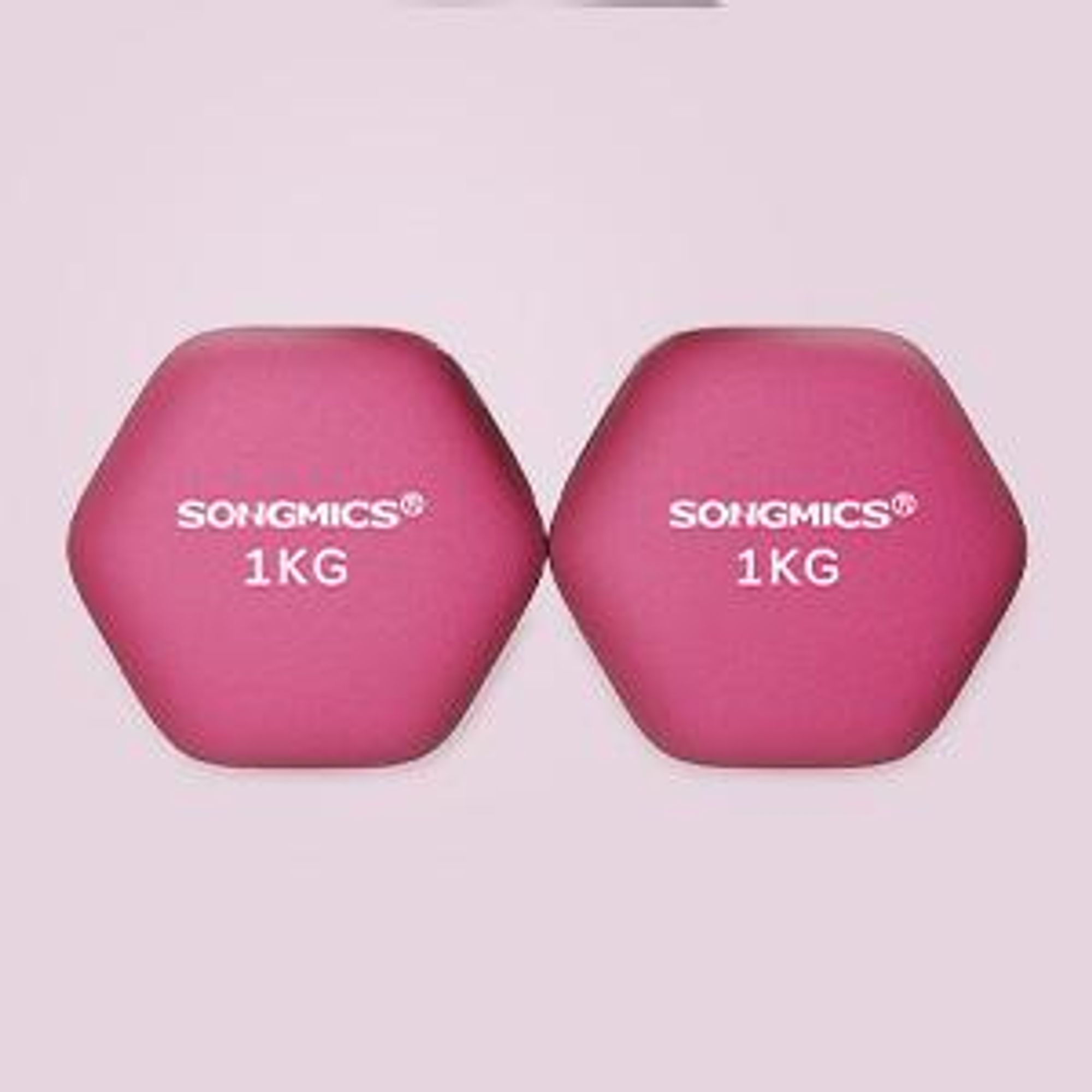 SONGMICS Hanteln, 2er Set, 2 x 1 kg, Hantelset, Kurzhanteln, Hexagon, Neopren-Beschichtung, Krafttraining, Workout, Fitnesstraining, für Zuhause