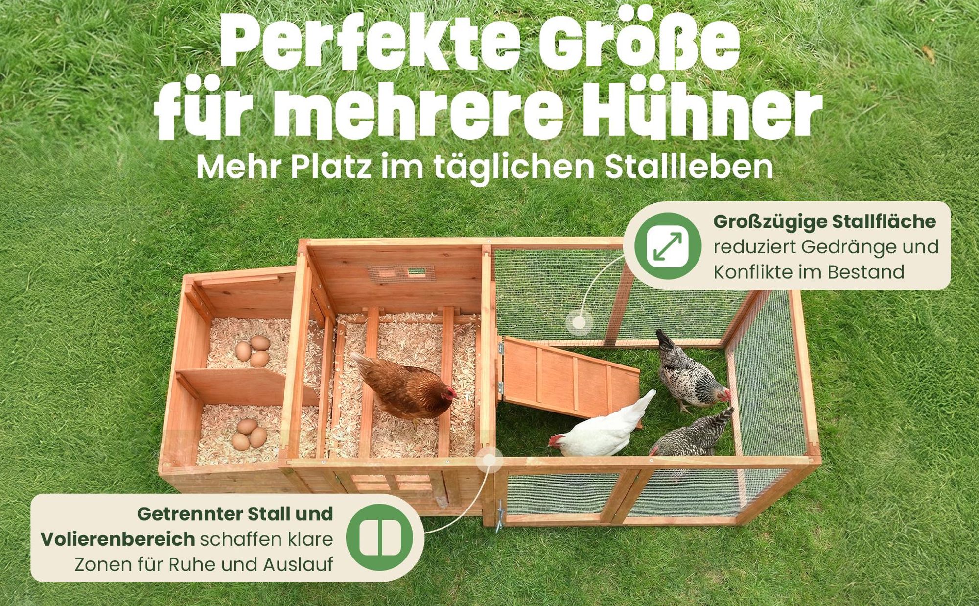 zooprinz Hühnerstall Hühnerhaus Modell | XXL | 182x103x75cm (BxHxT) | Klappdach | Freilaufgehege | Nistkasten | Wetterfest | Massivholz
