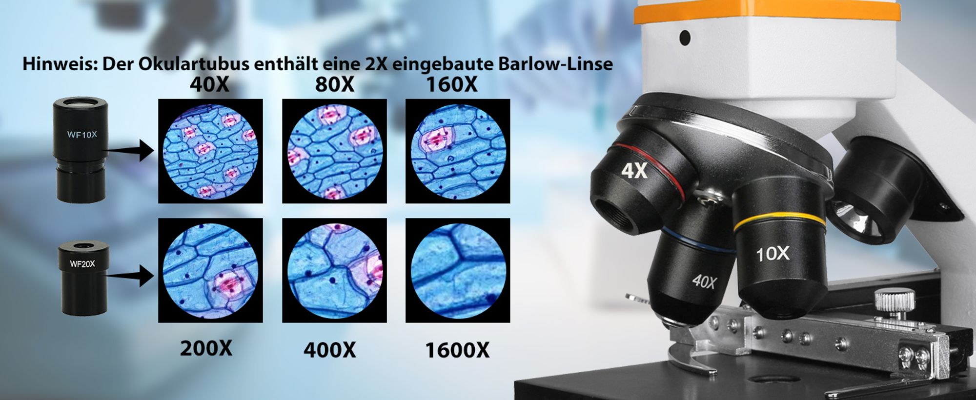 Svbony SV601 Monokulare Mikroskope, Studentenmikroskopverbindung, 40X-1600X Dual Illumination Dual Power Mechanisches Bühnen-Monokularmikroskop für Studenten Science Class Biology Enthusiasm