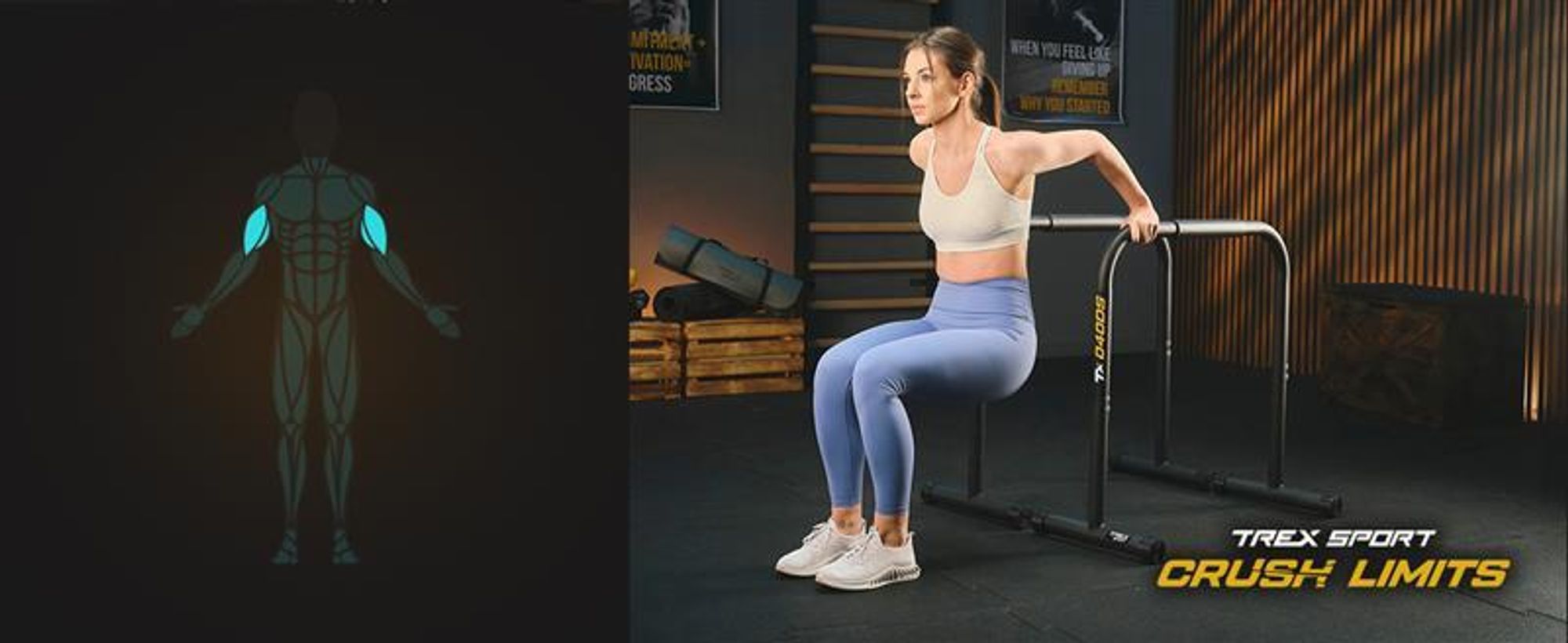 TREX SPORT Dip Barren 2er Set TX-040DS | Dip Station bis 200 kg, höhenverstellbar | Parallettes Calisthenics Equipment