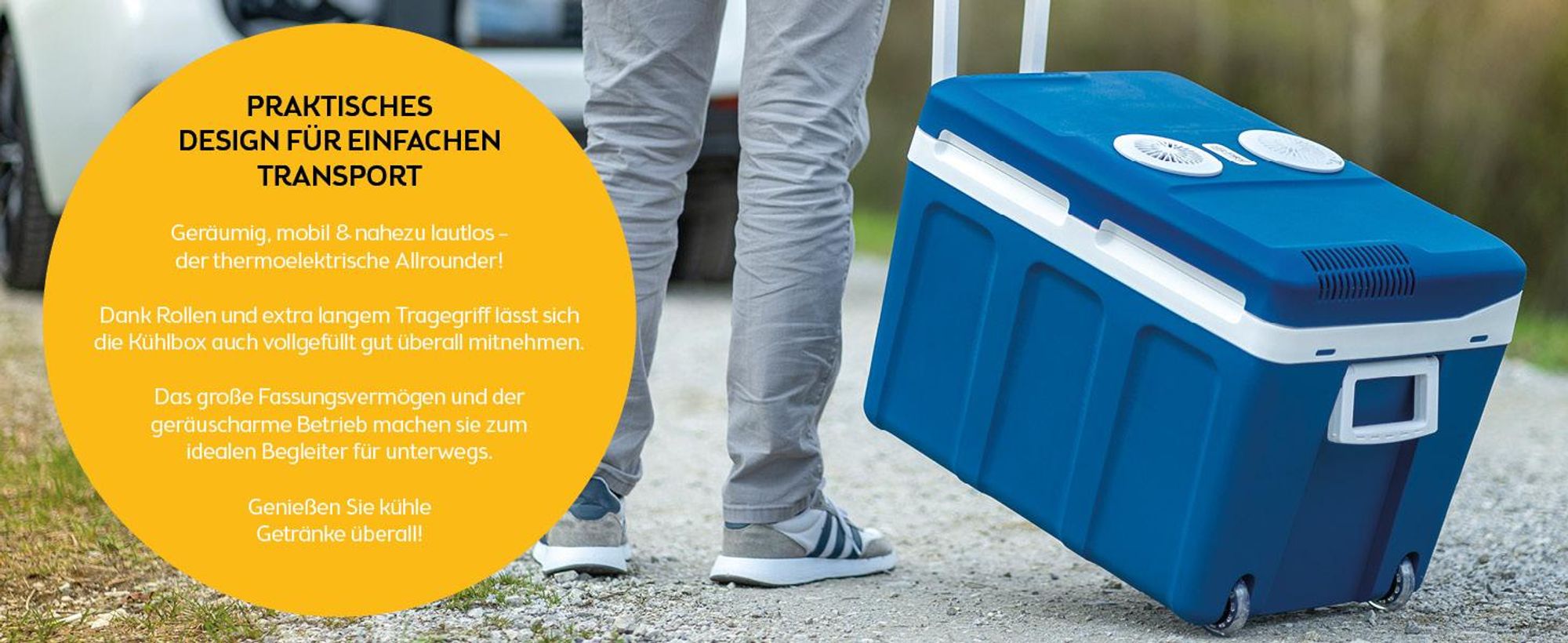 TZS First Austria - Kühlbox 45L elektrisch 12V 230V Anschluss für Auto & Steckdose - Thermoelektrisch - Blau