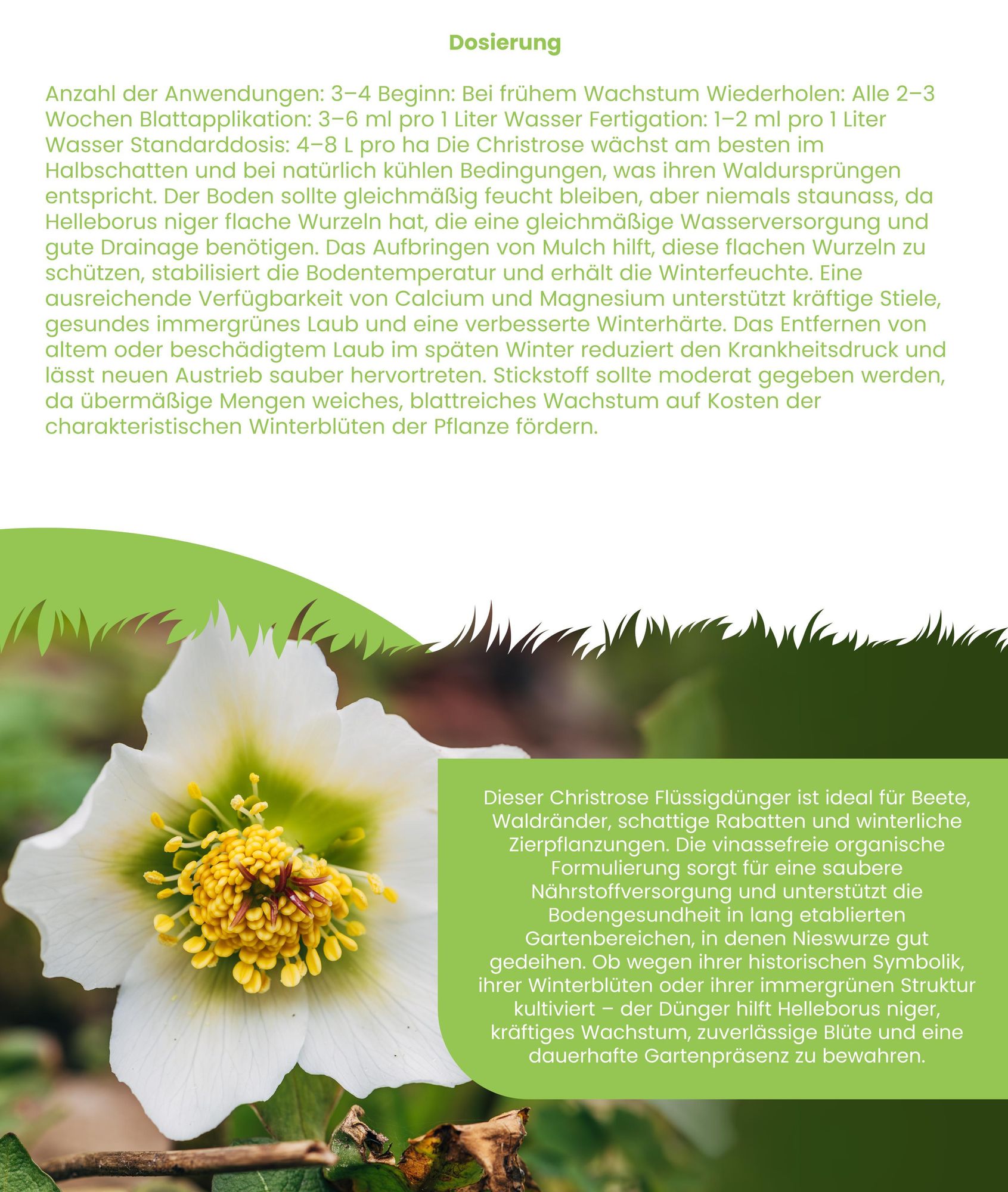 Weihnachtsrose Flüssigdünger 1L – 3-4-3 NPK – Flüssigdünger Für Blühpflanzen – Für Üppige Winterblüte & Starke Pflanzen – Organifer