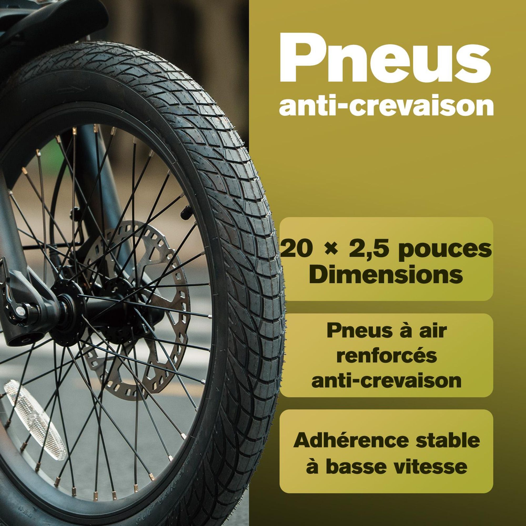 Vélo électrique FAFREES F20 Mate II - Moteur 250W batterie 48V21Ah pneus 20 pouces freins à disque hydrauliques - Noir anthracite